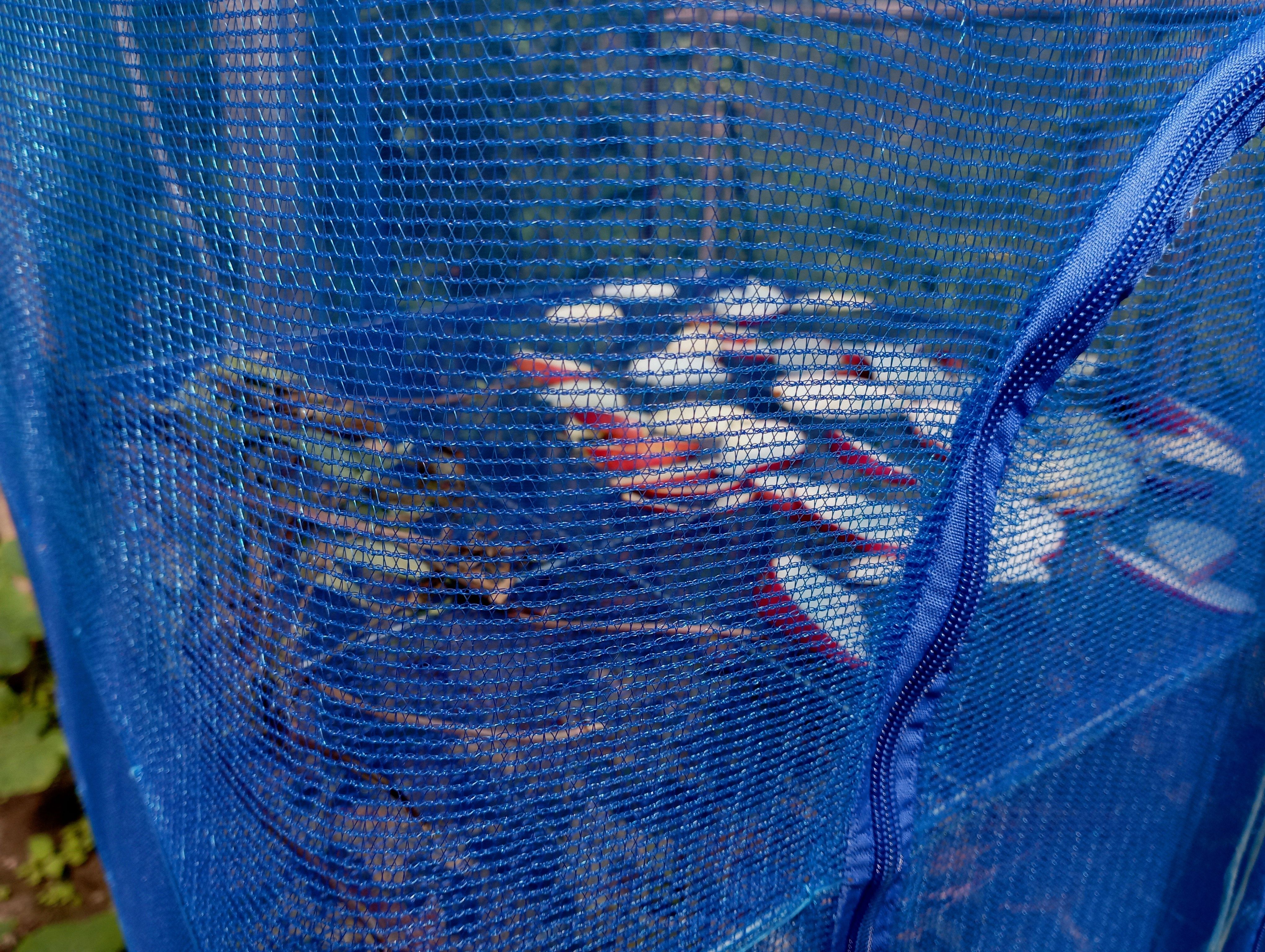 phoenix local business