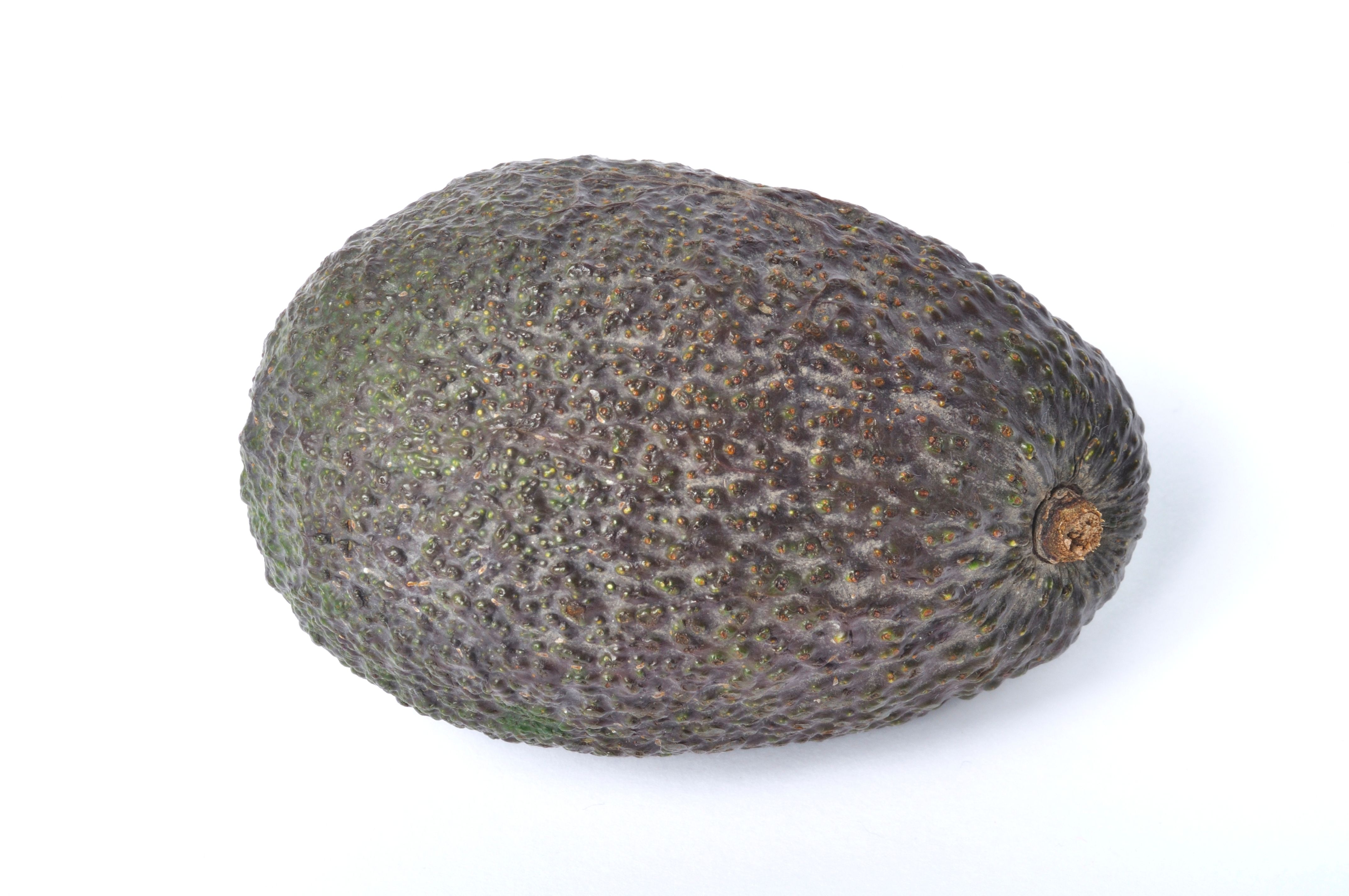 avocat droit commercial