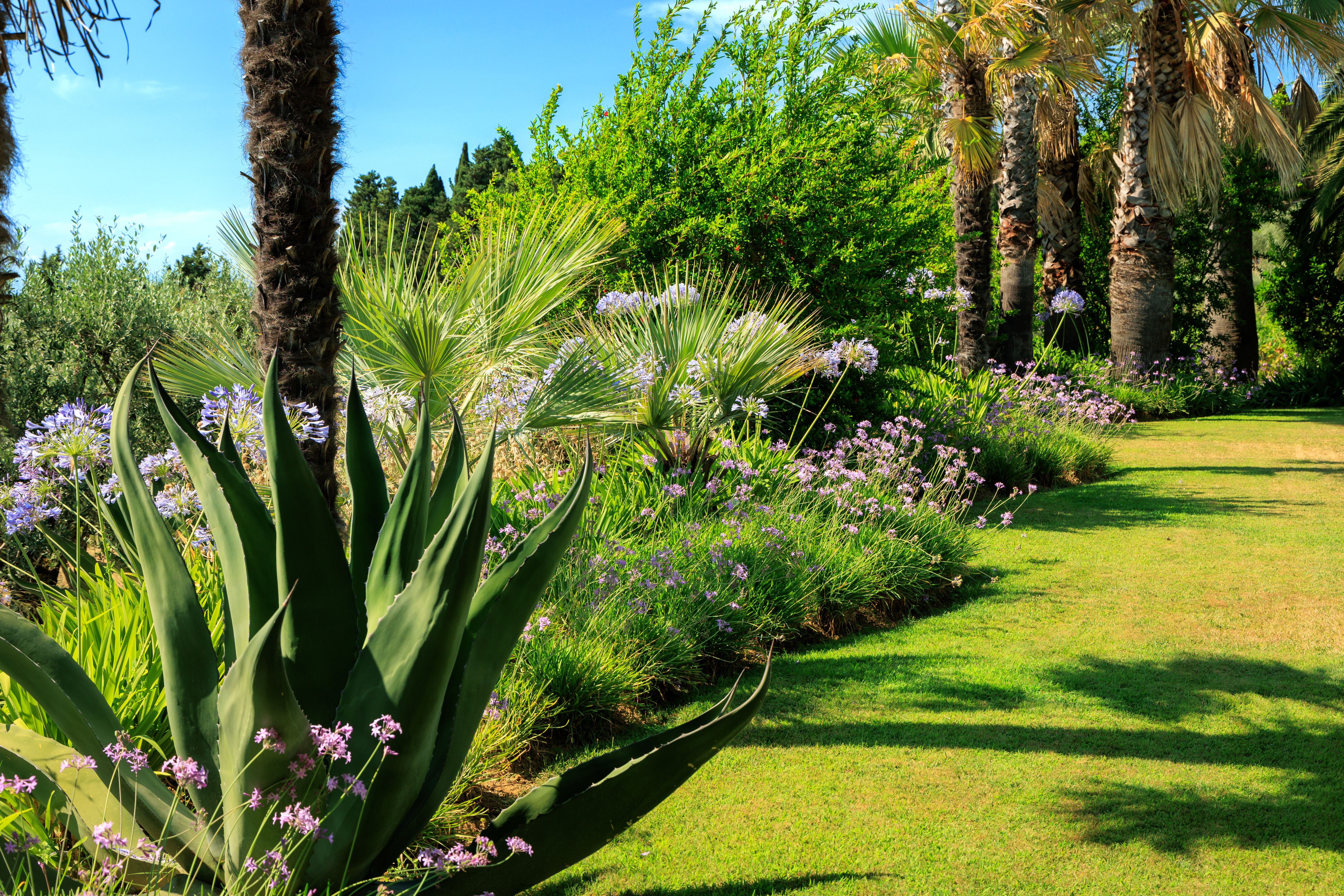 mediterranean climate garden
