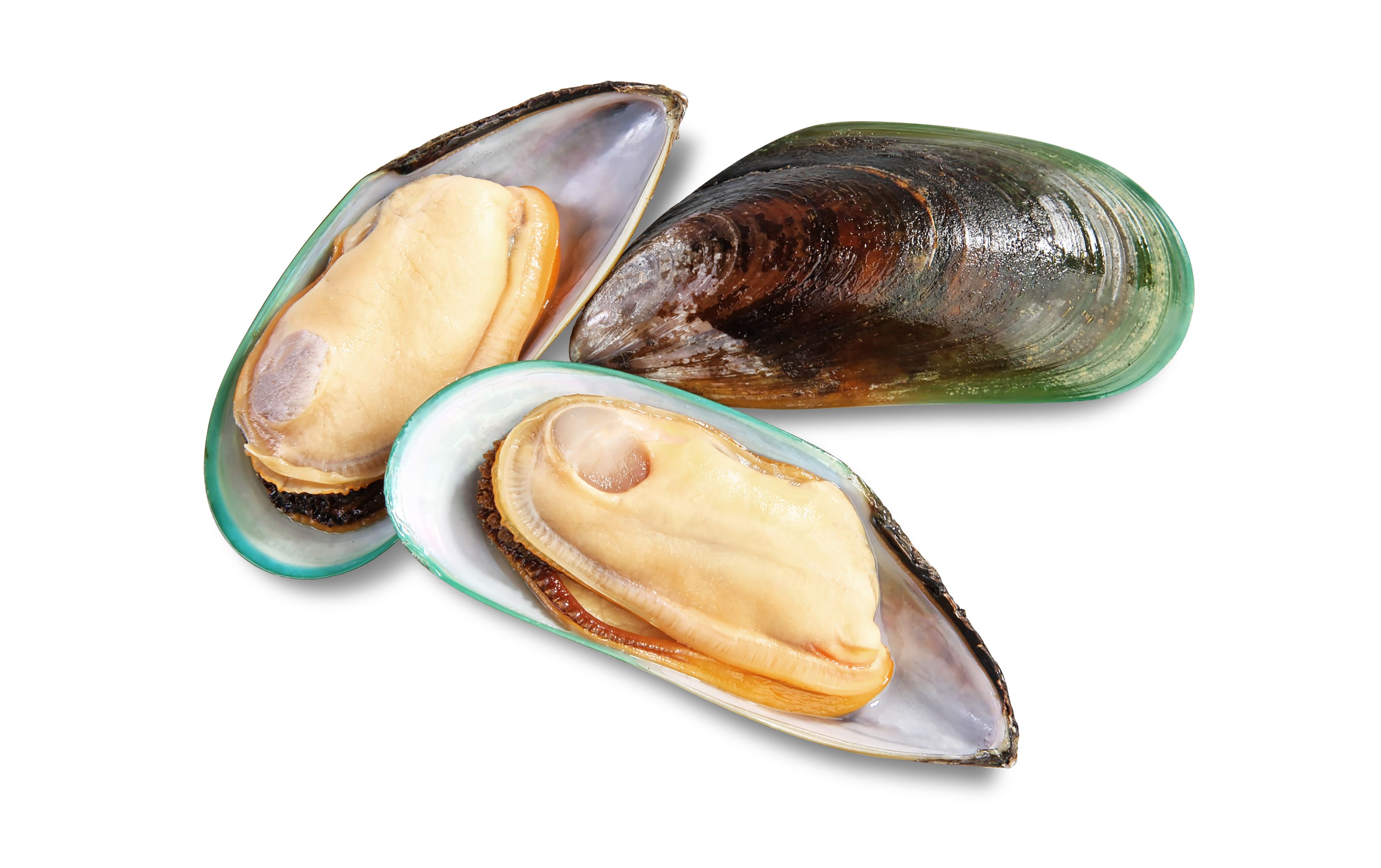 ingredients mussels
