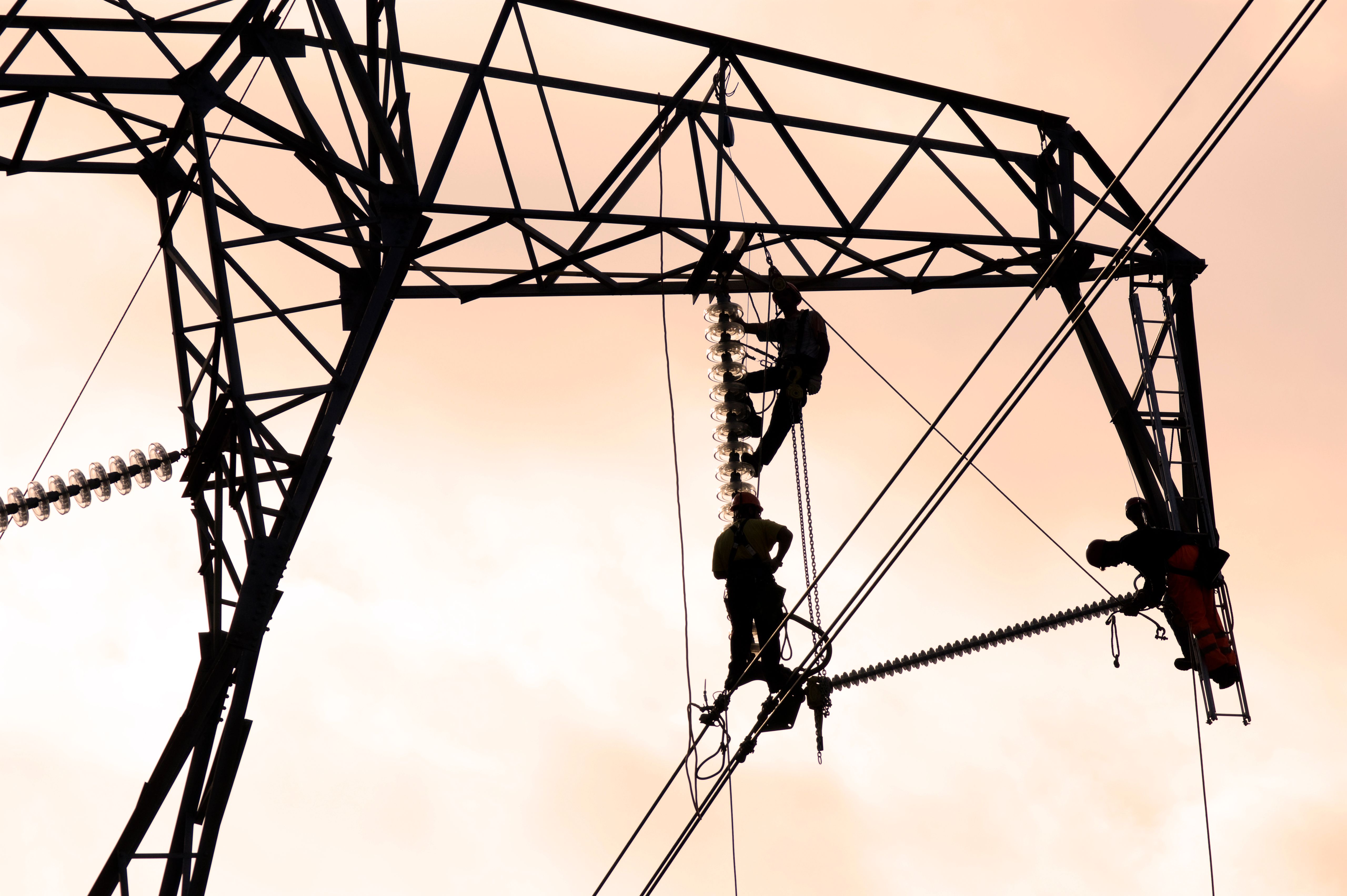 Maintenance of a power line