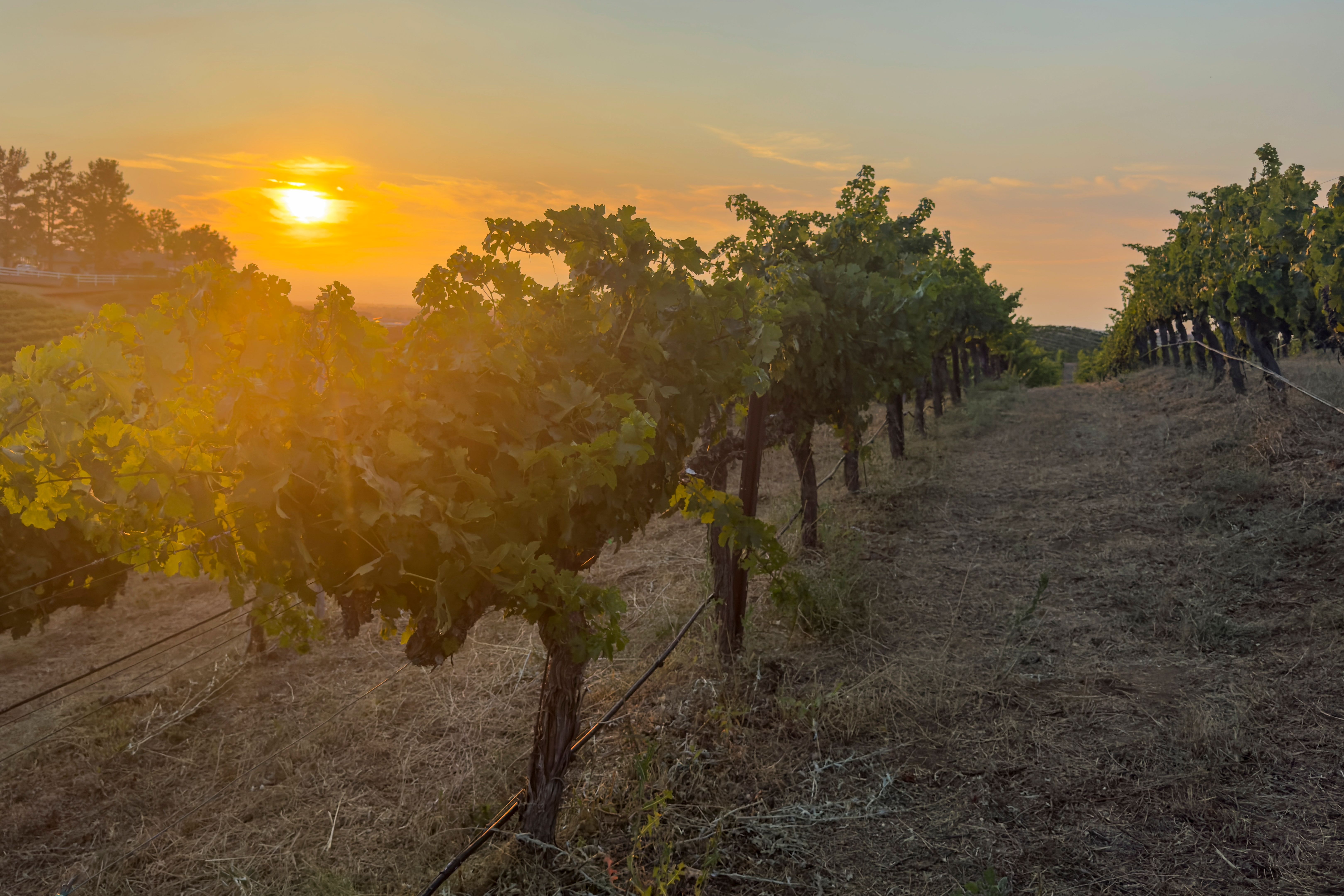riverside county landscape