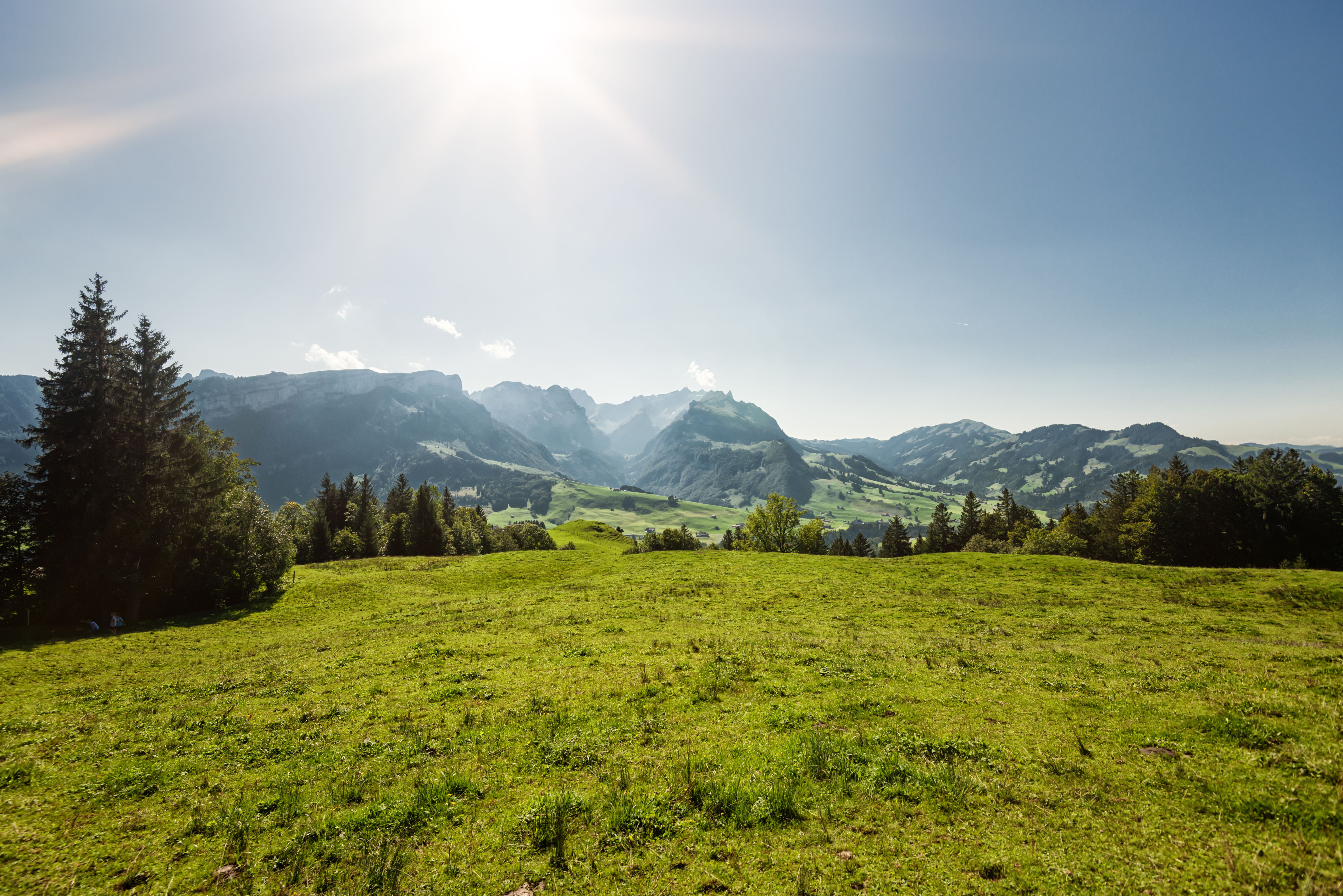 swiss summer landscape