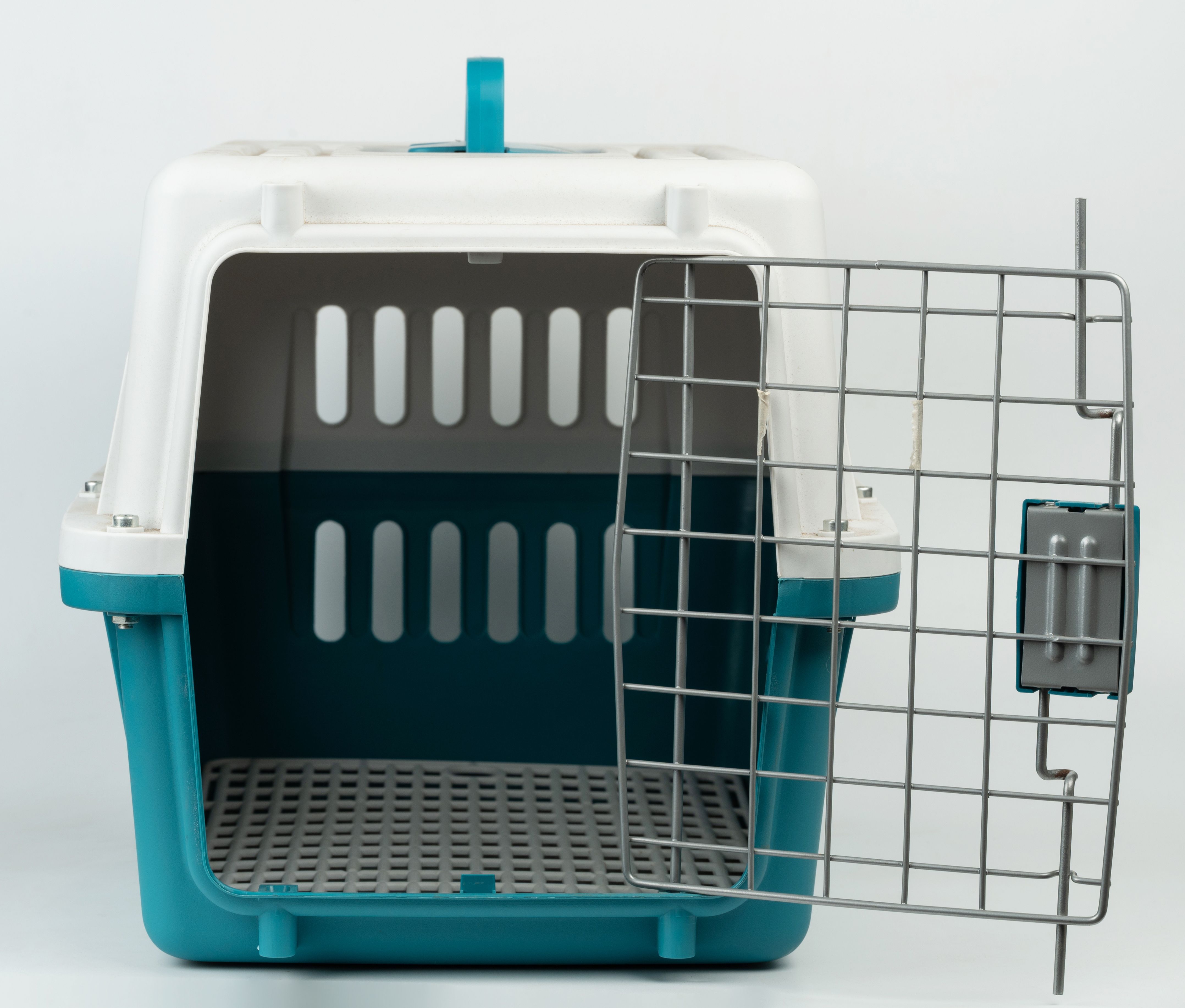 pet carrier training