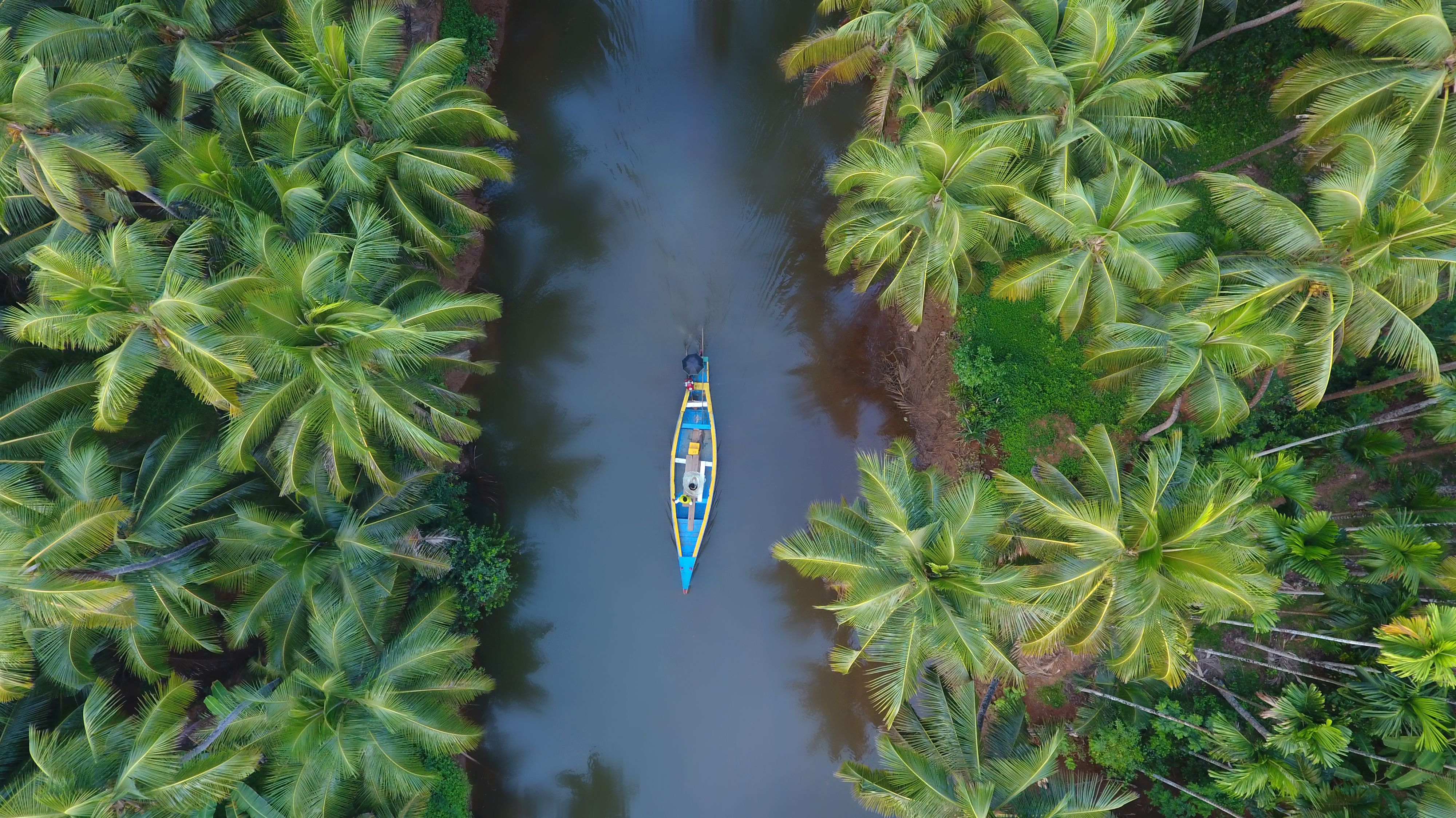 kerala landscape