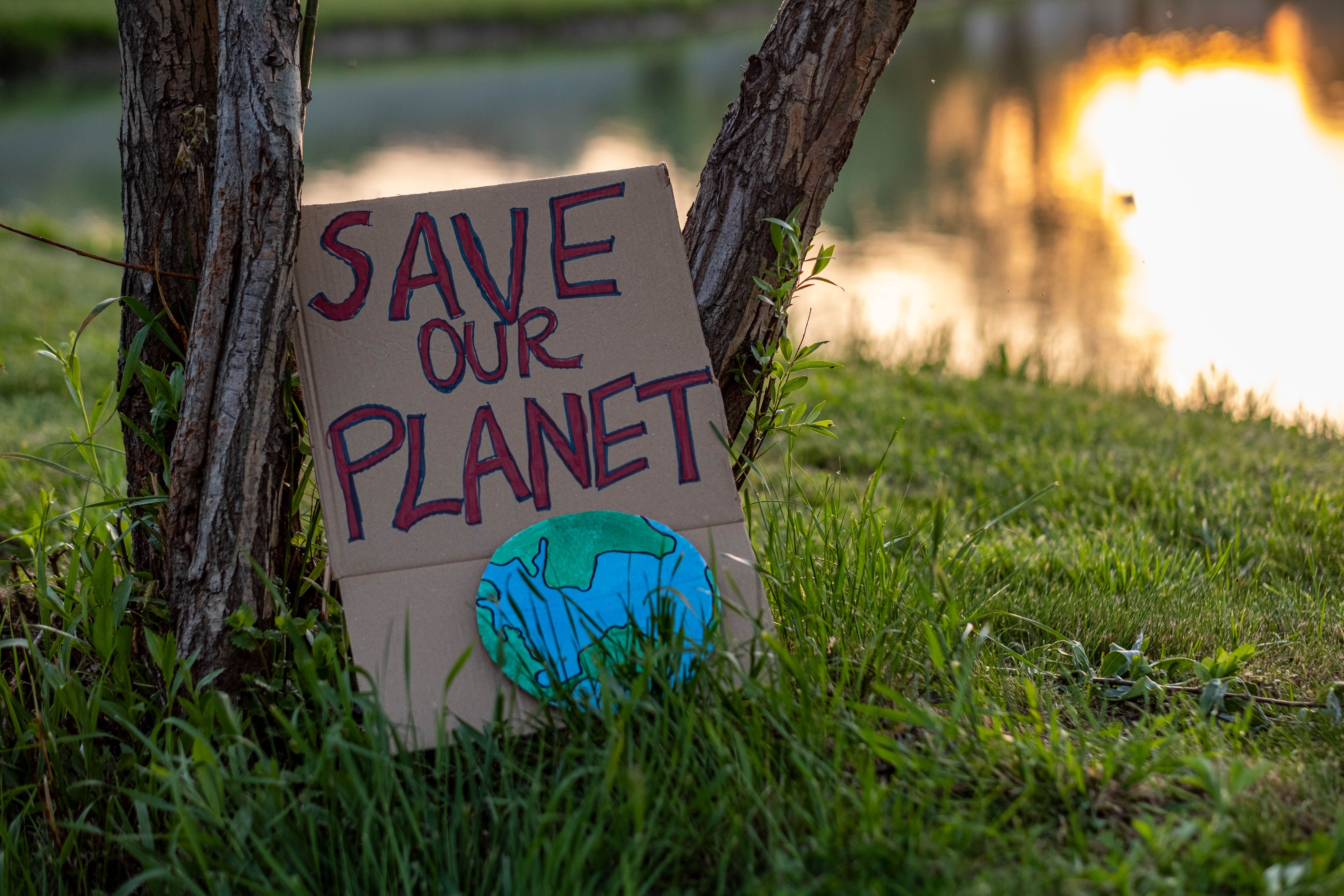 in nature by the tree by the lake it says on the cardboard let's save our planet
