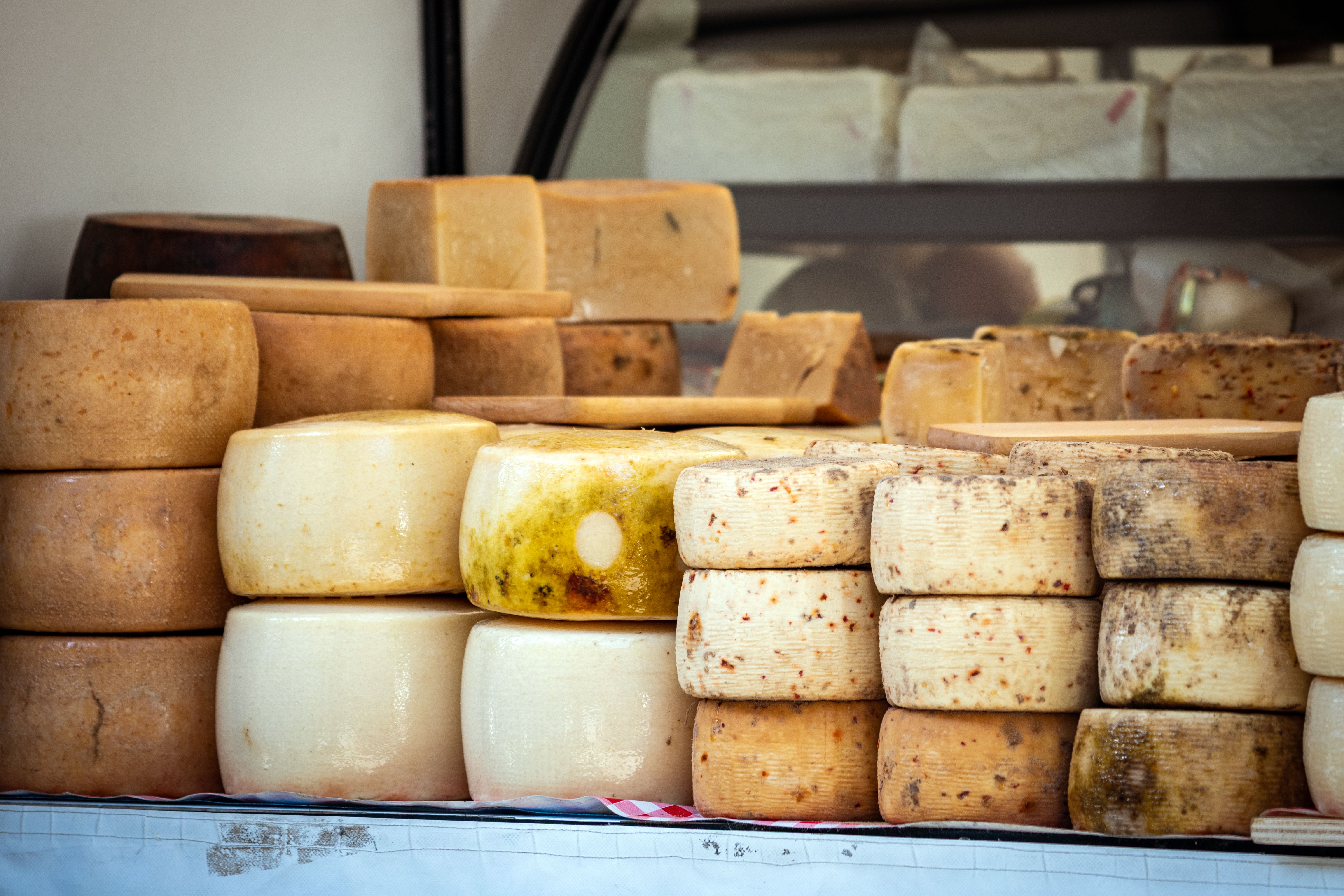 sardinian cheese