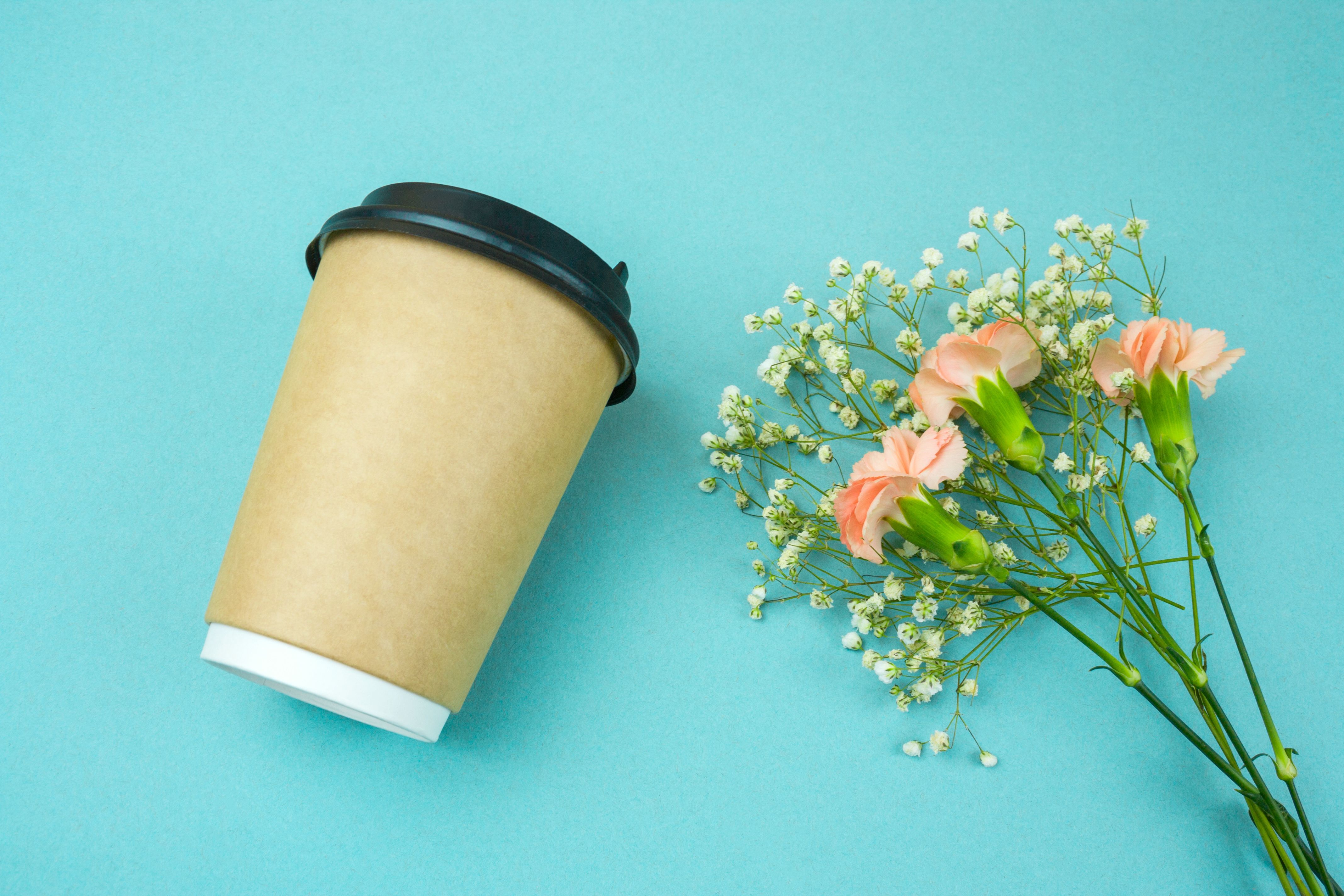 vending machine spring