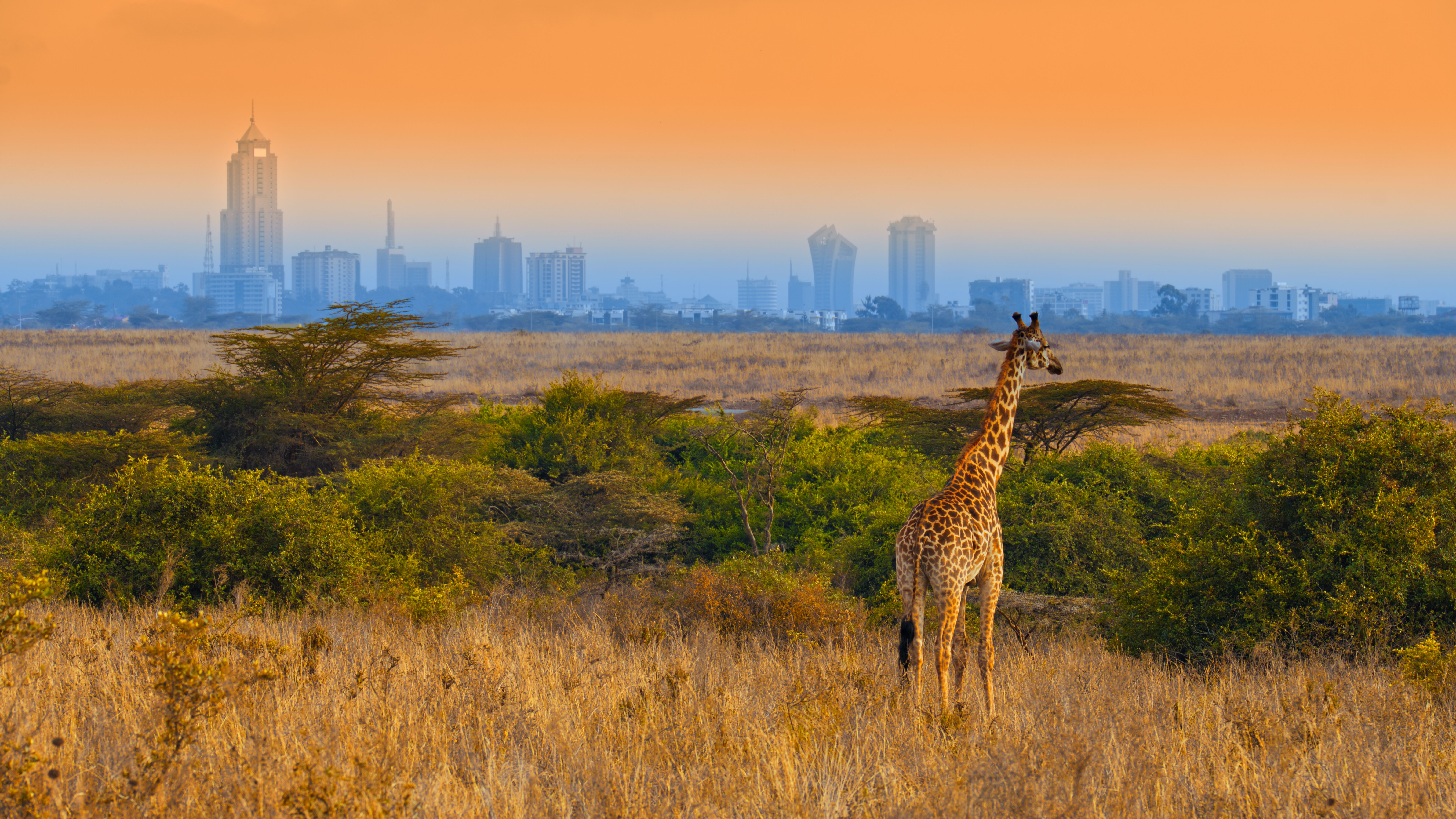 Nairobi skyline