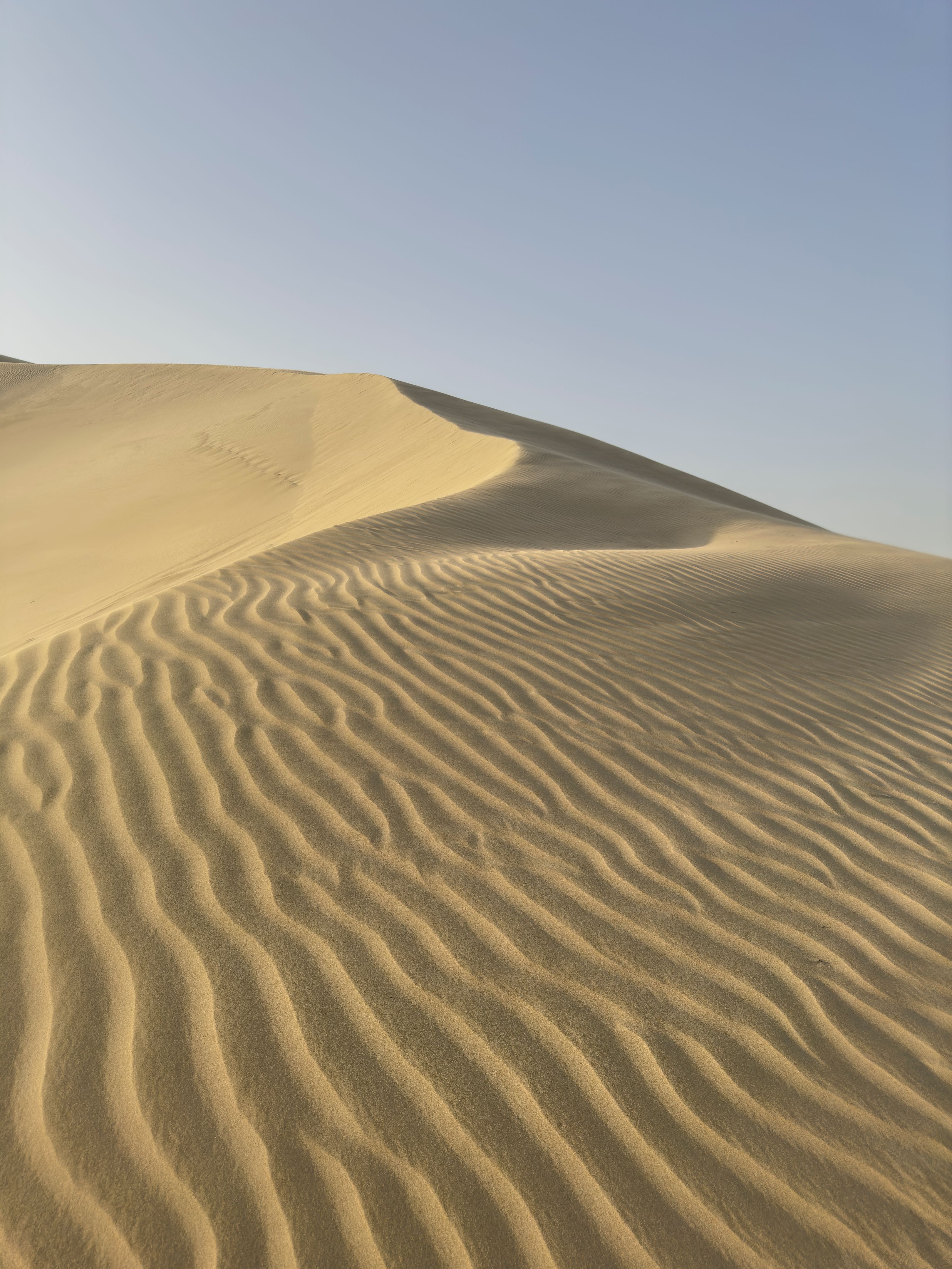 qatar desert