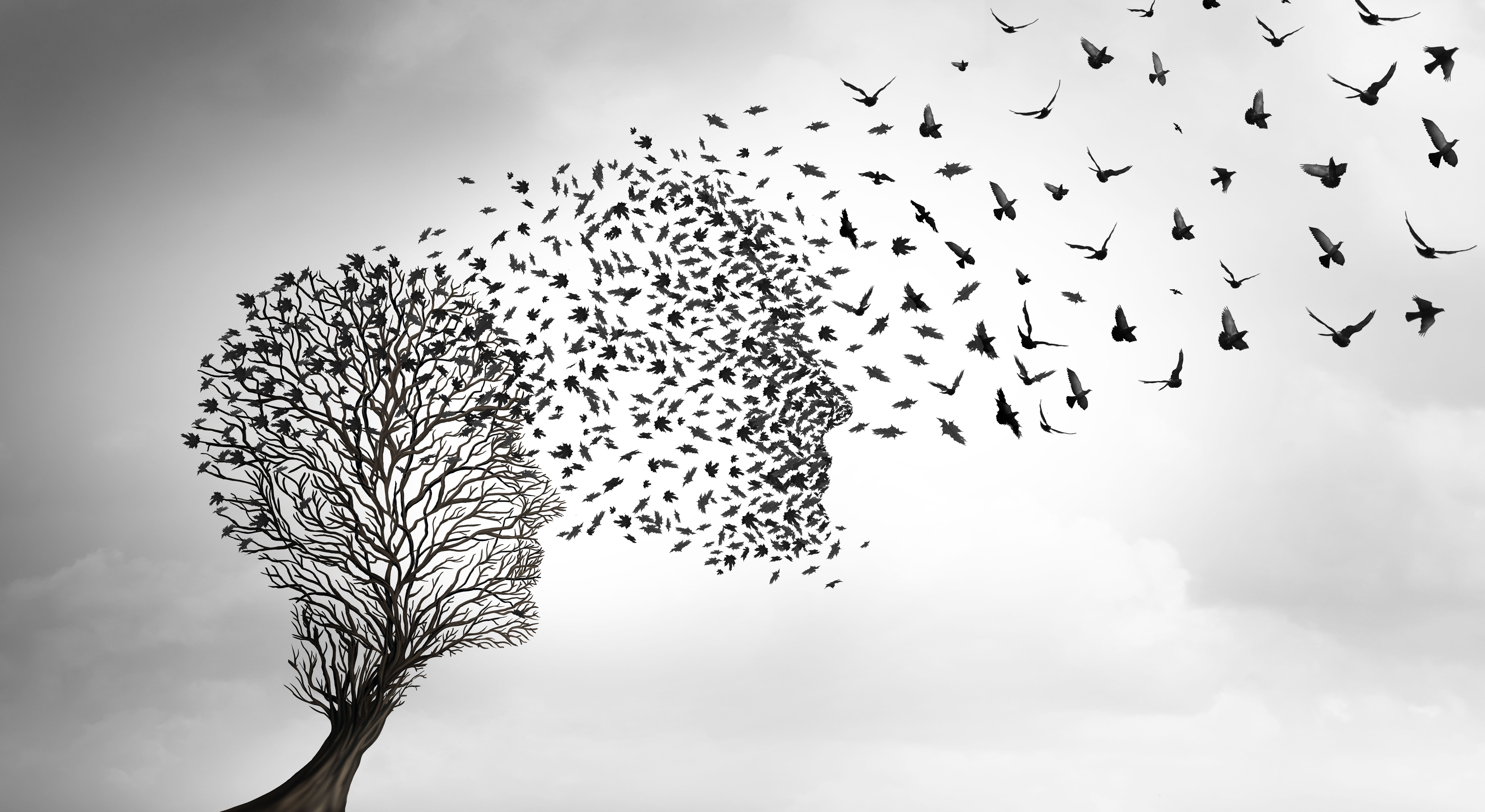 personal transformation