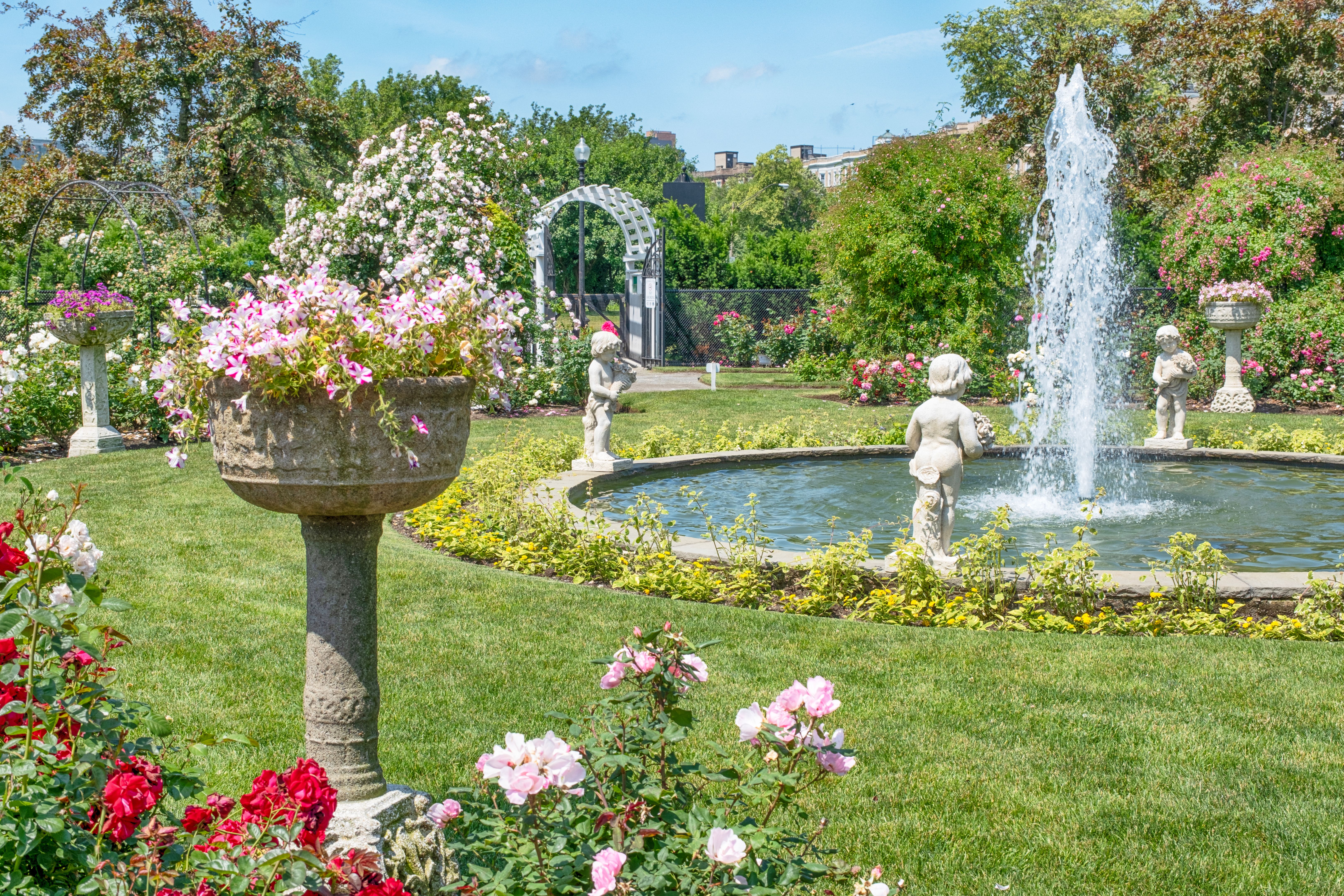 massachusetts garden