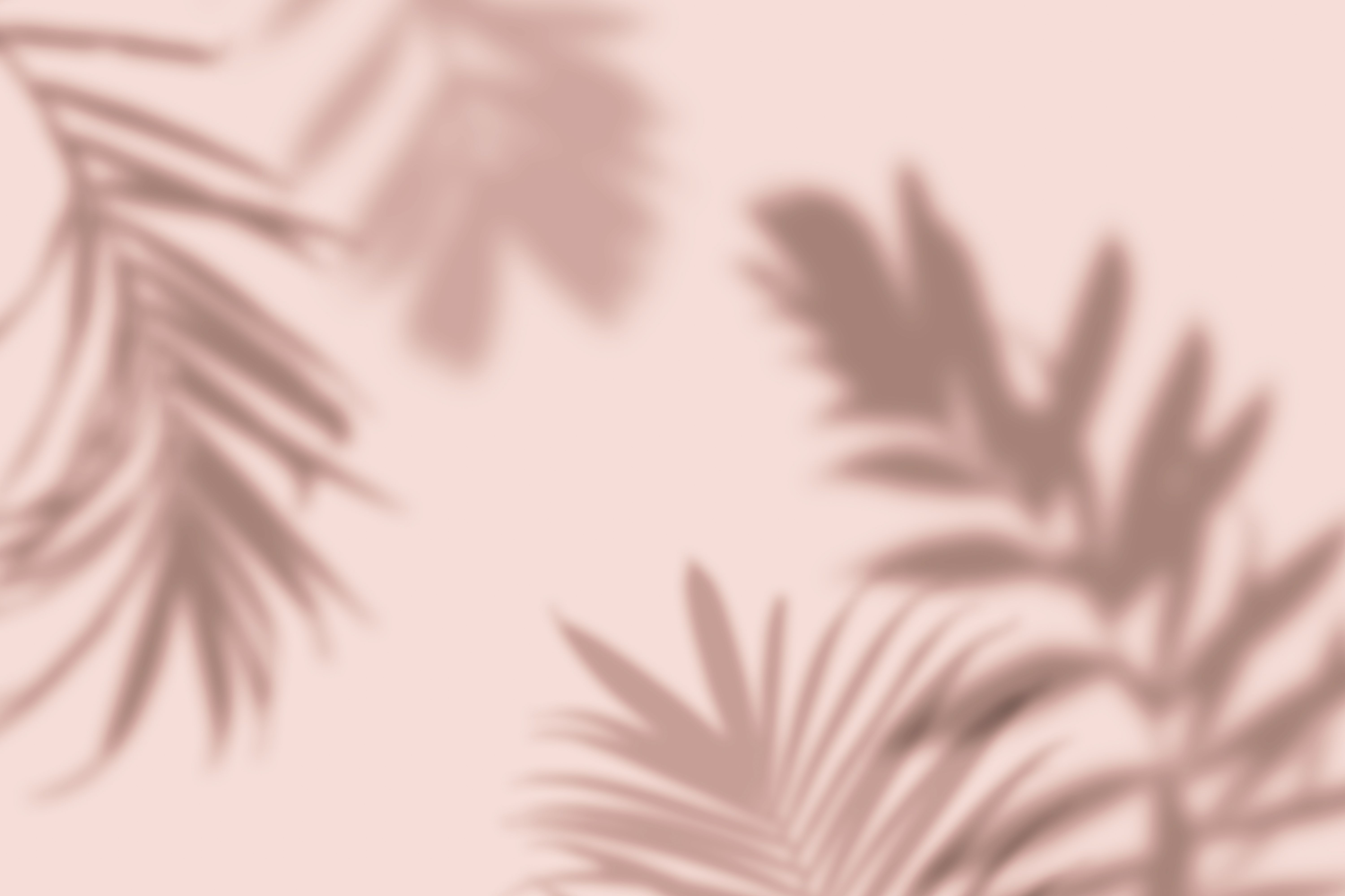 summer shade