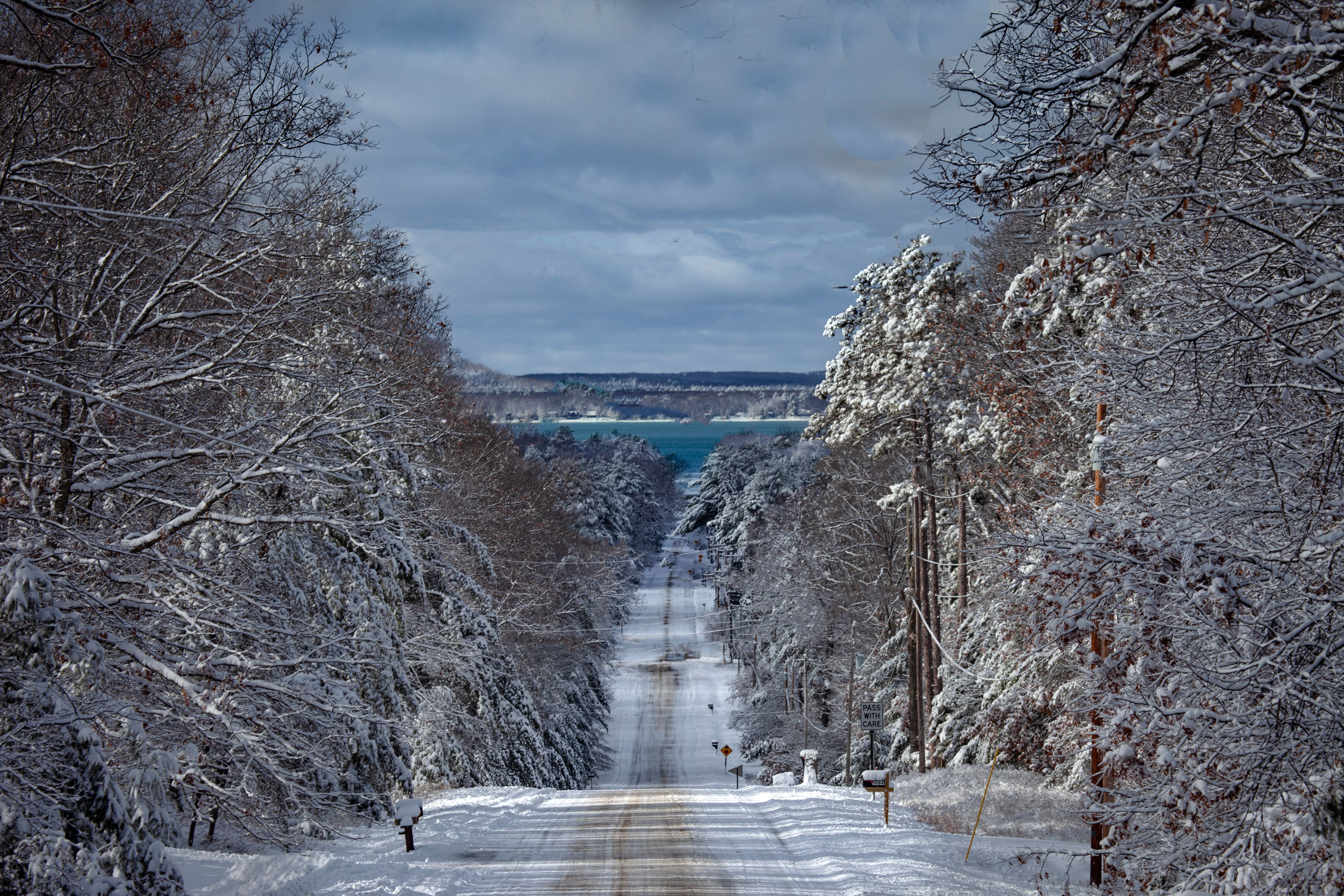 french bulldog michigan winter