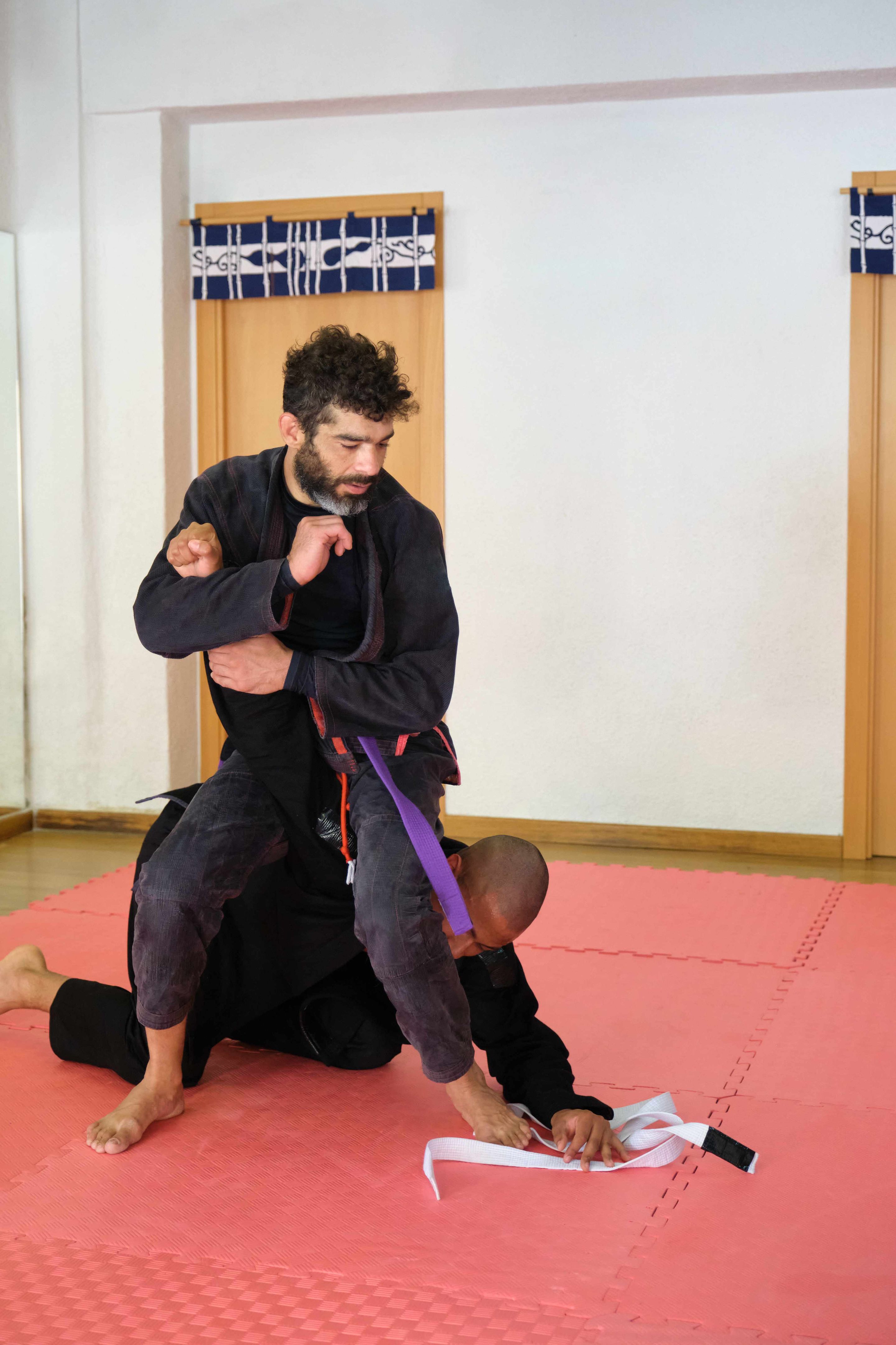 ju jitsu aula