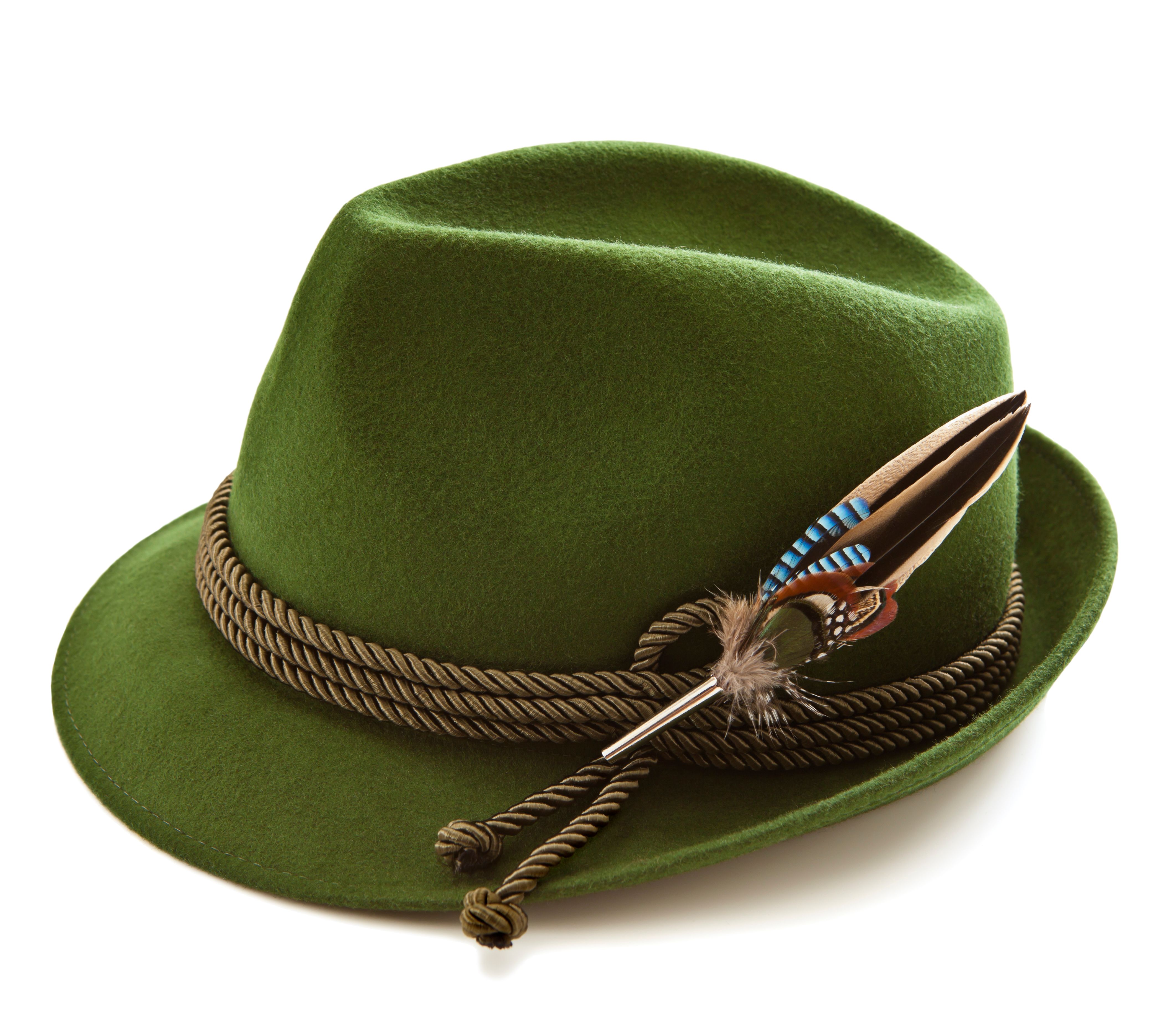 renaissance felt hat