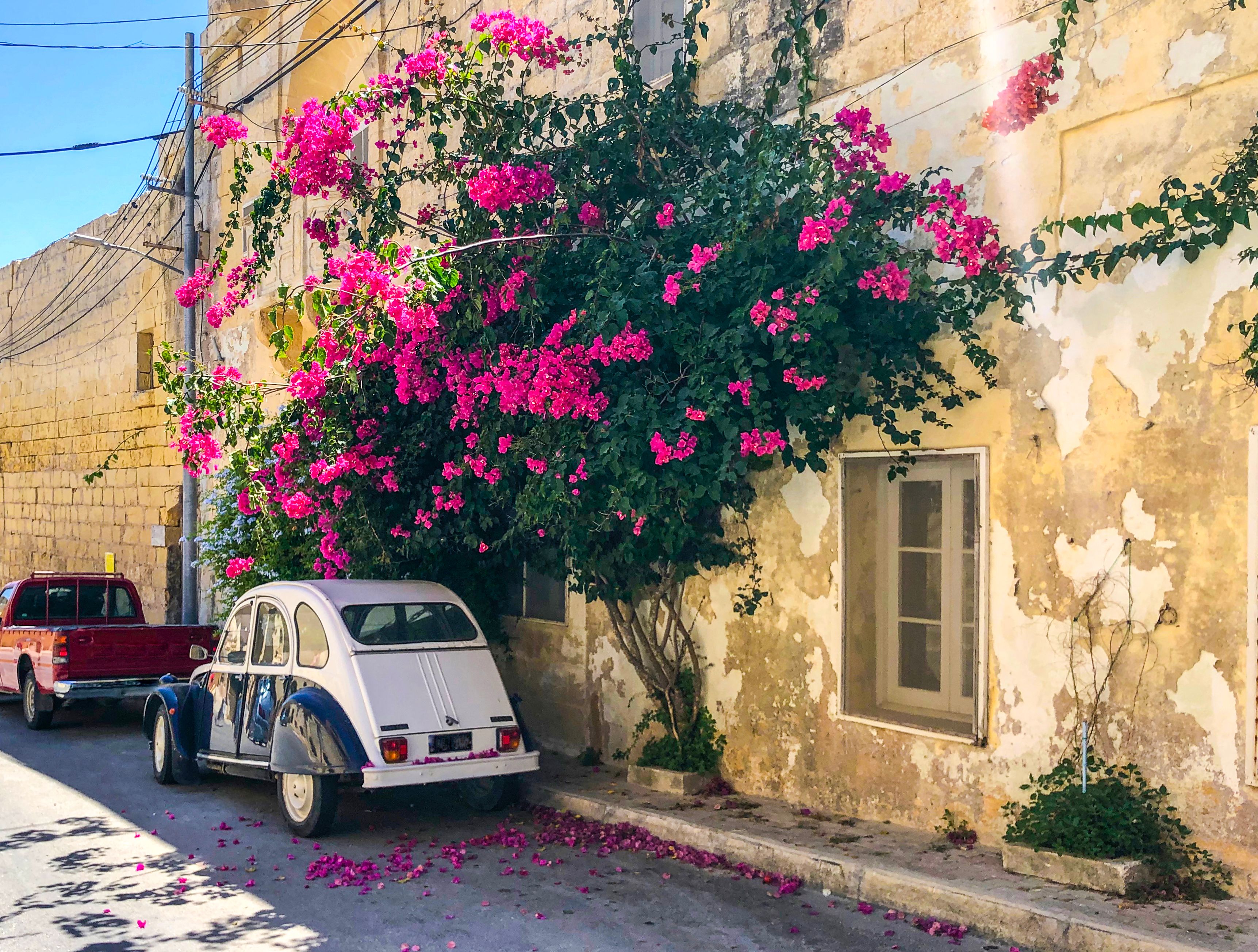 malta car travel