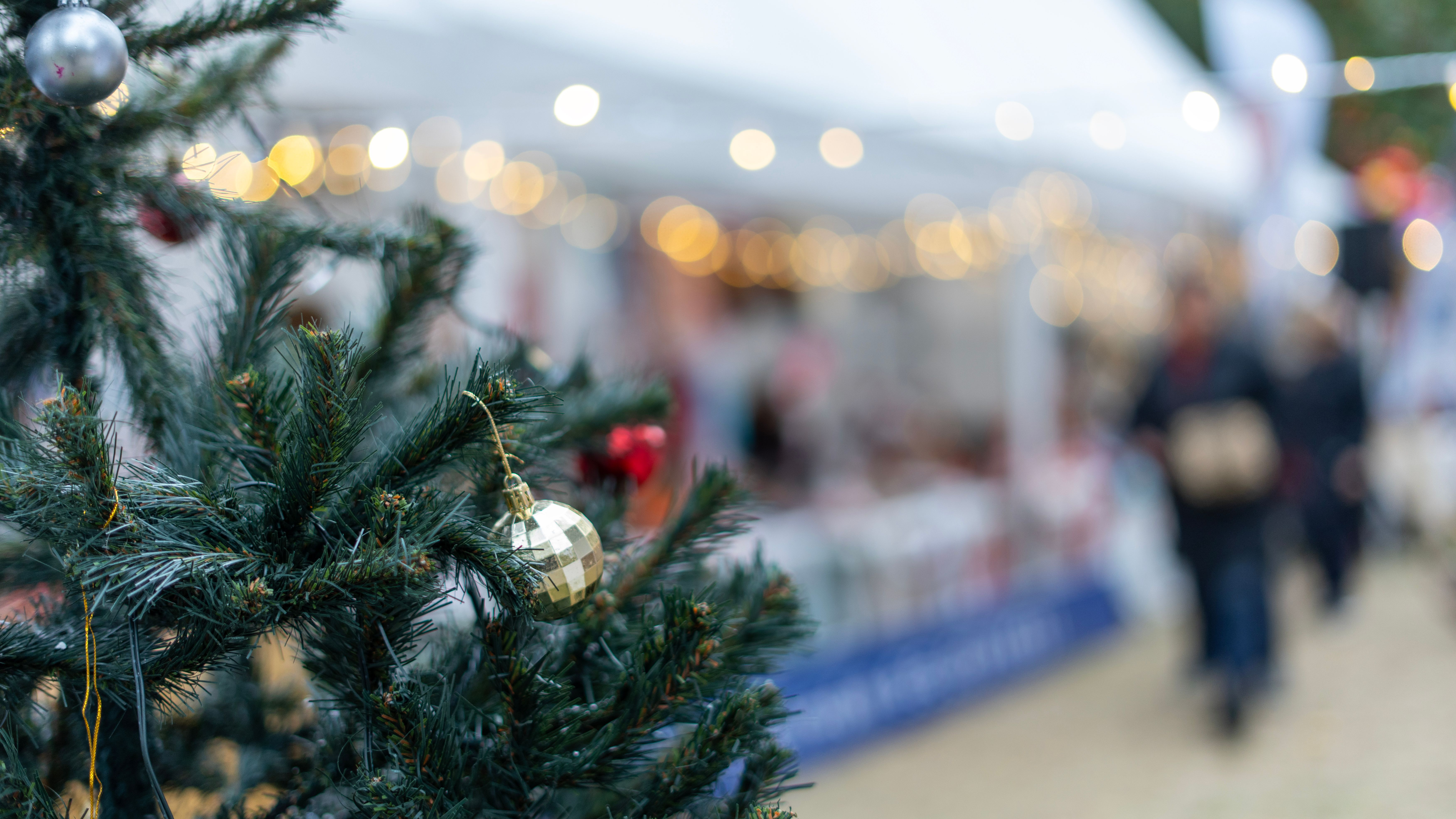 seasonal event photography