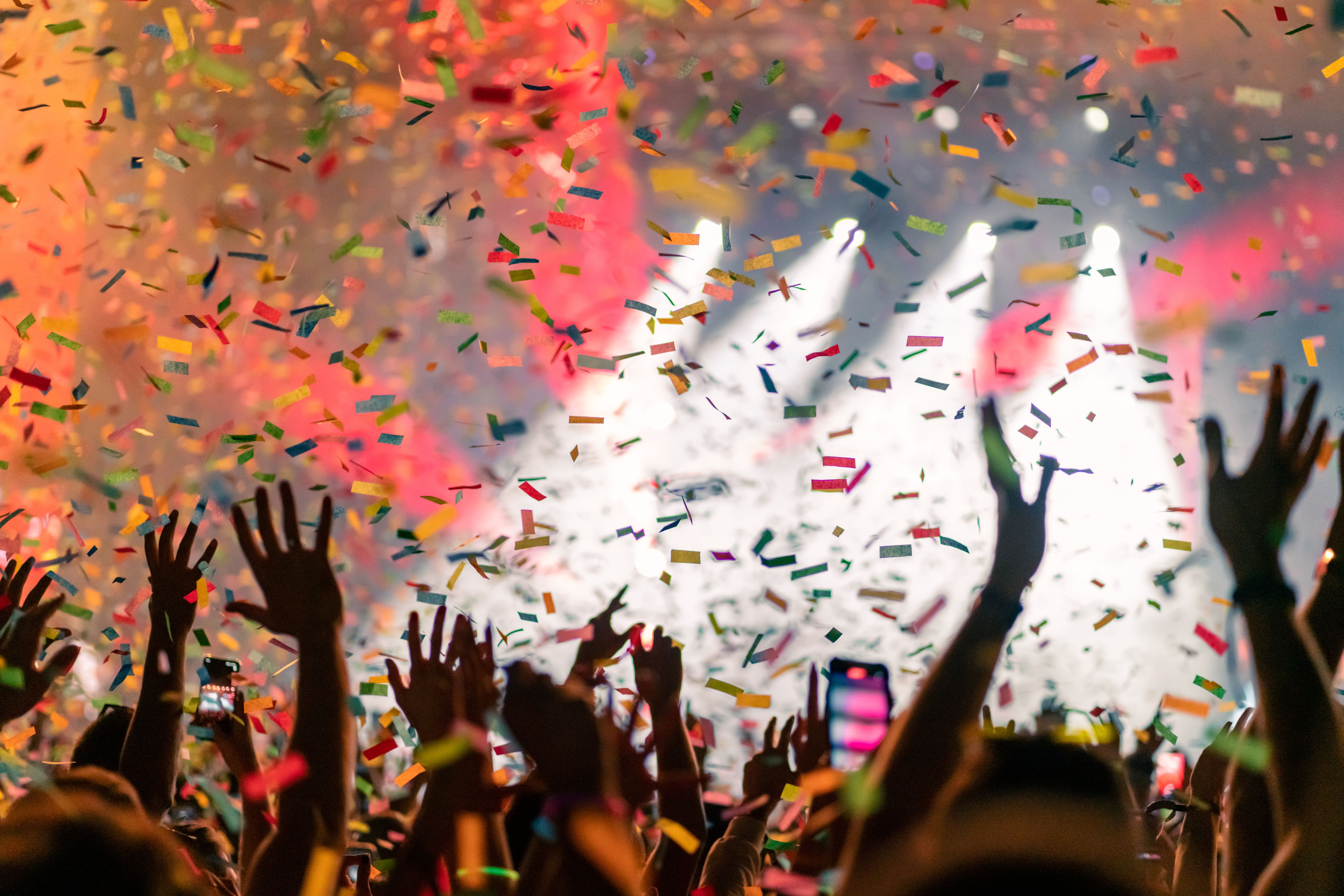 Music festival crowd