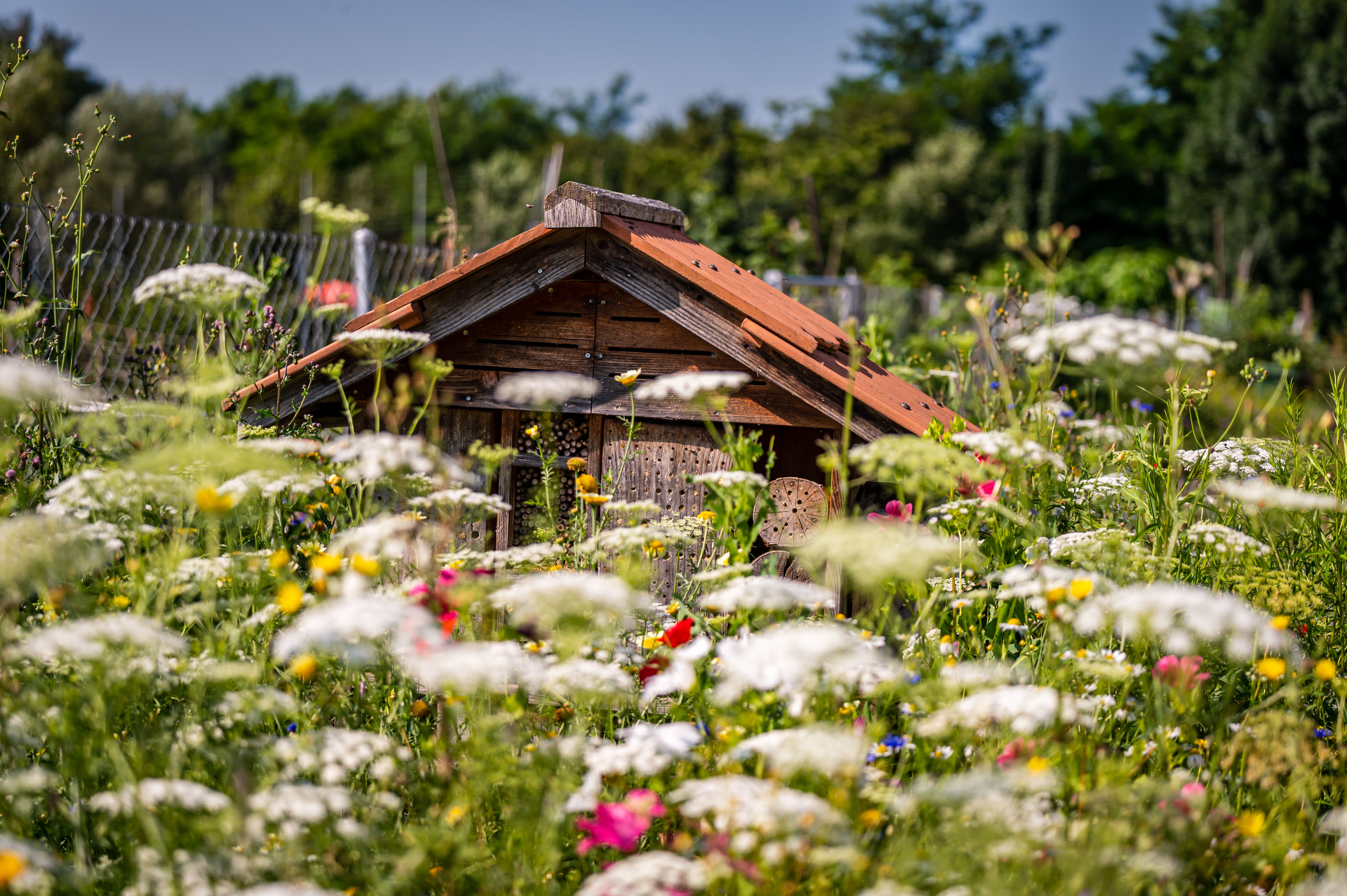 biodiversity preservation
