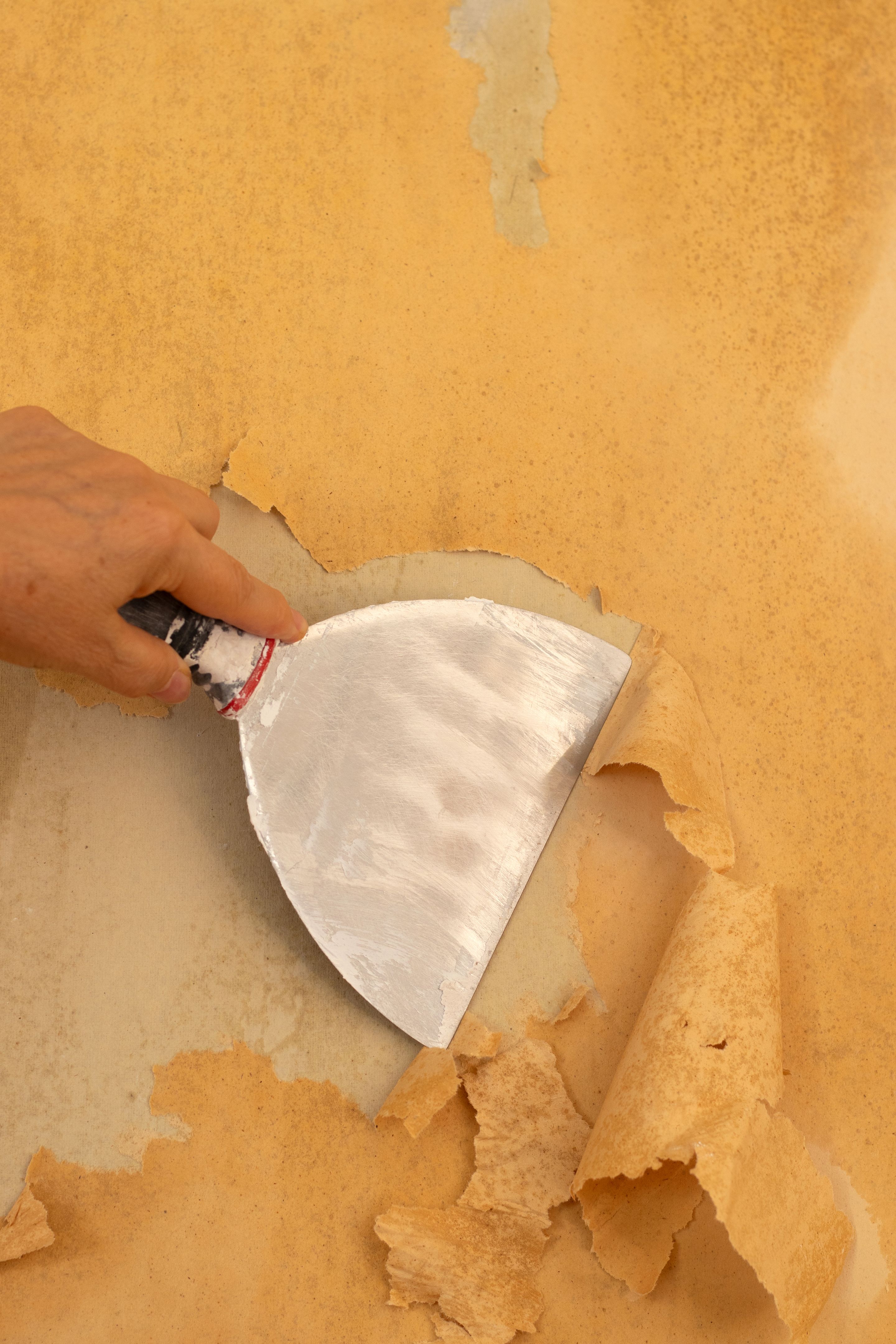 professional wallpaper removal