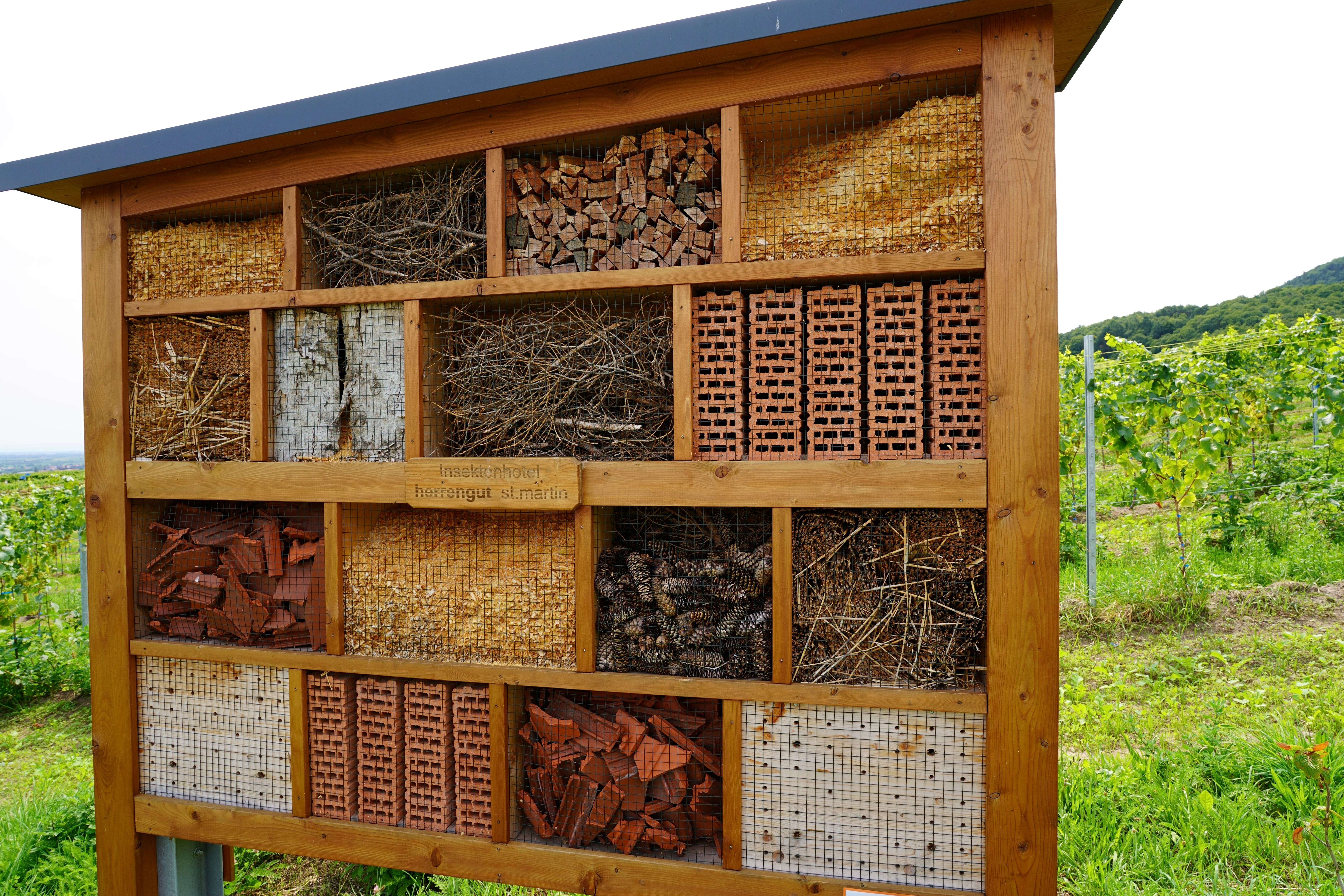 bee hotel