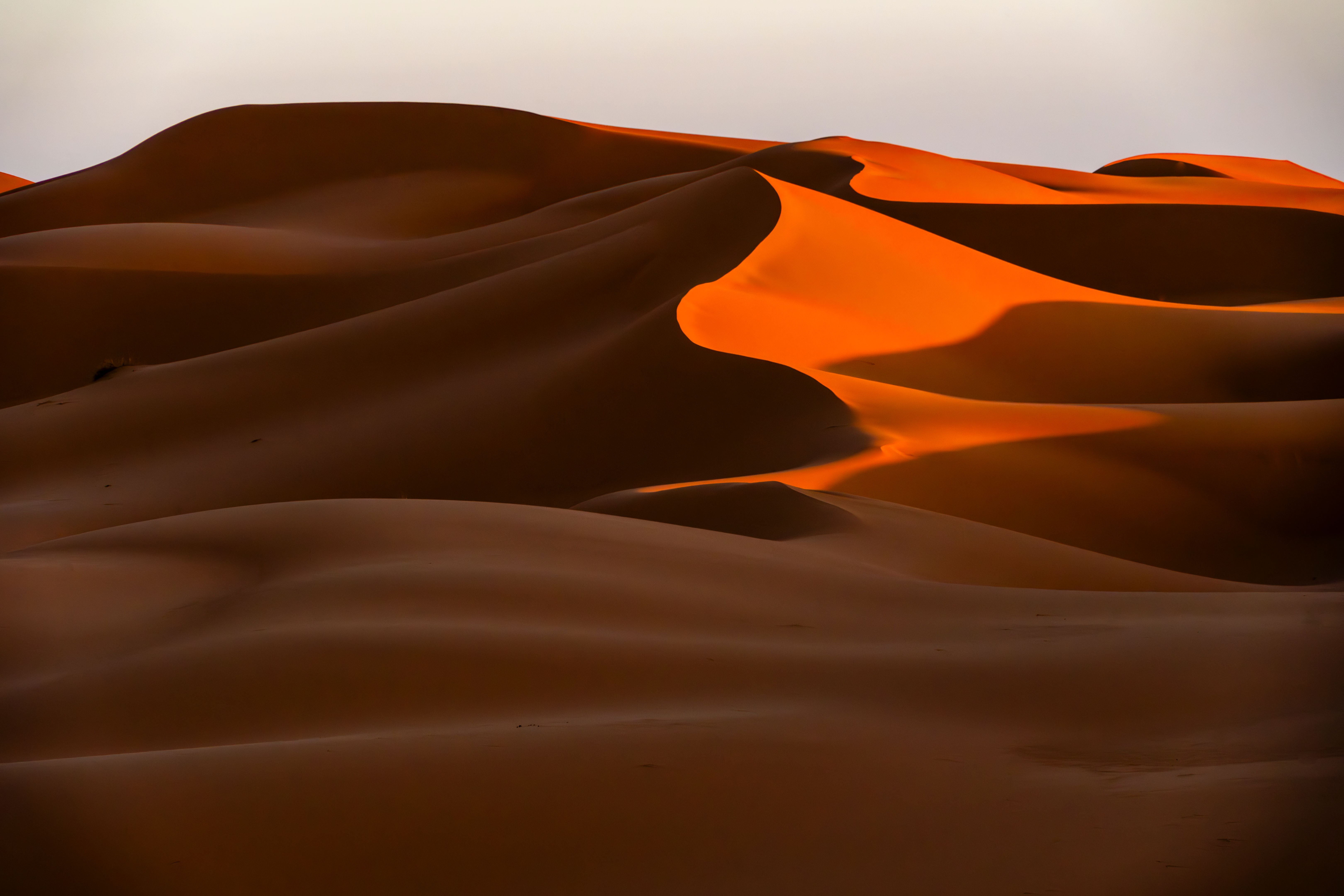 sahara sunset