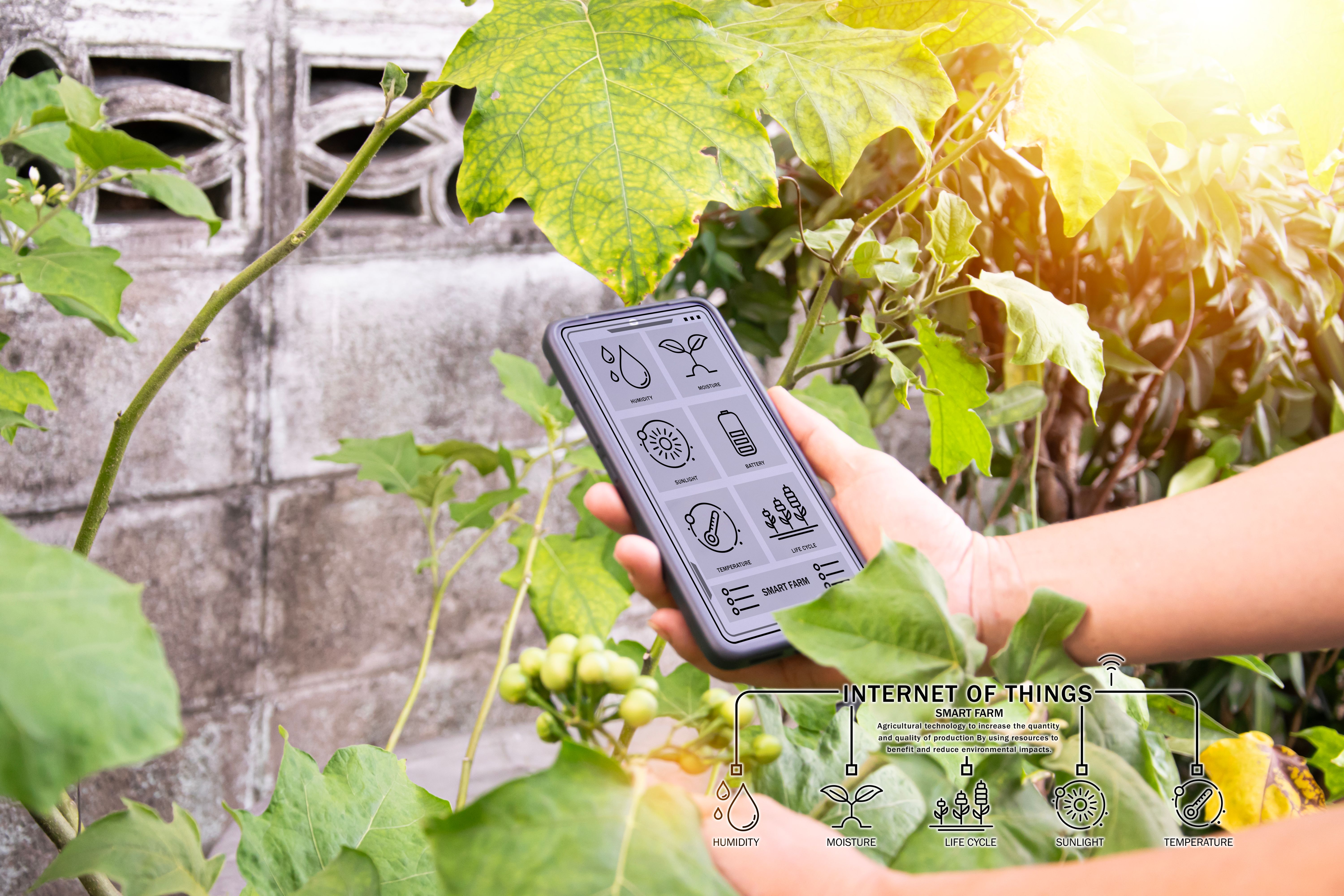 smart garden technology
