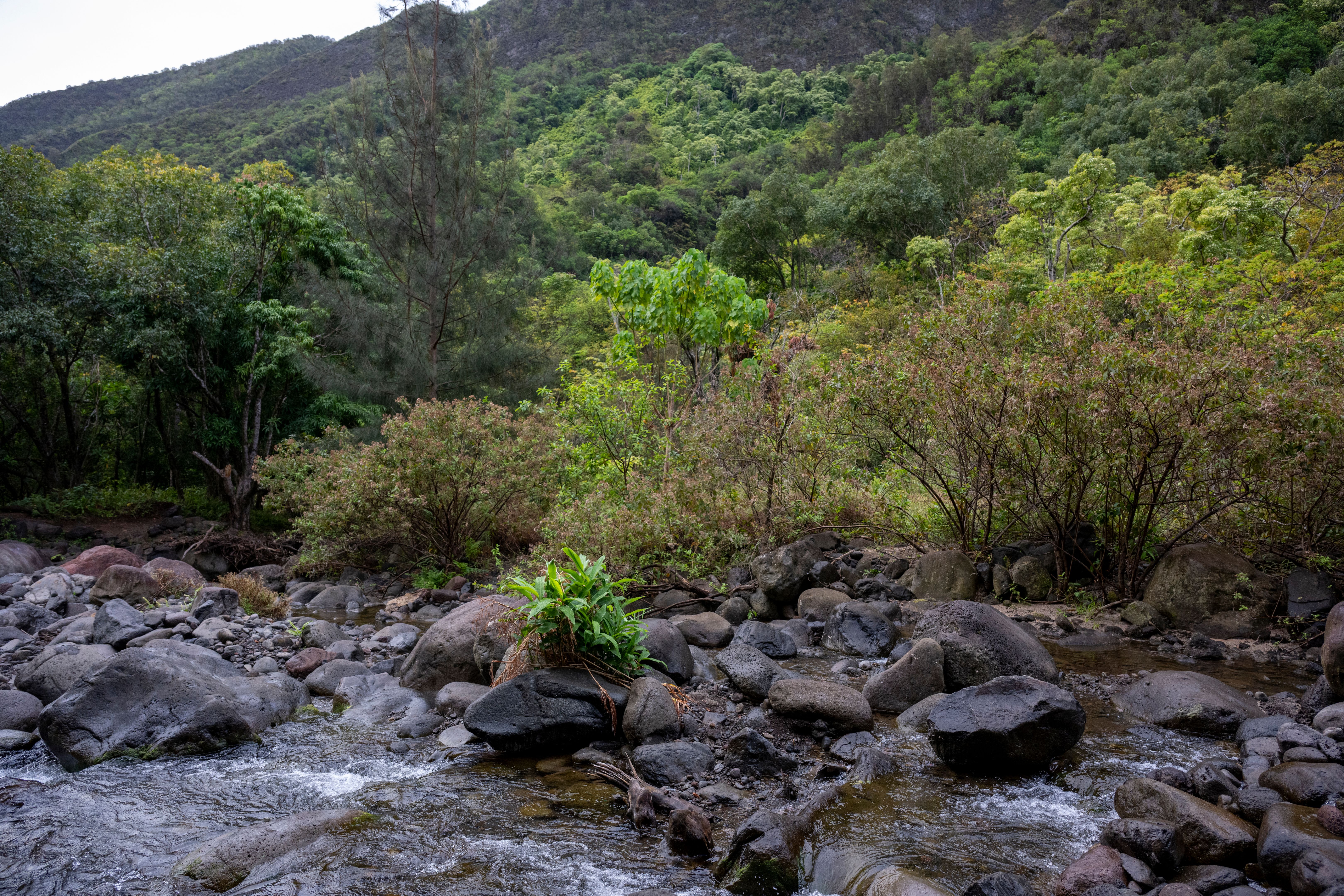 waterfall maui