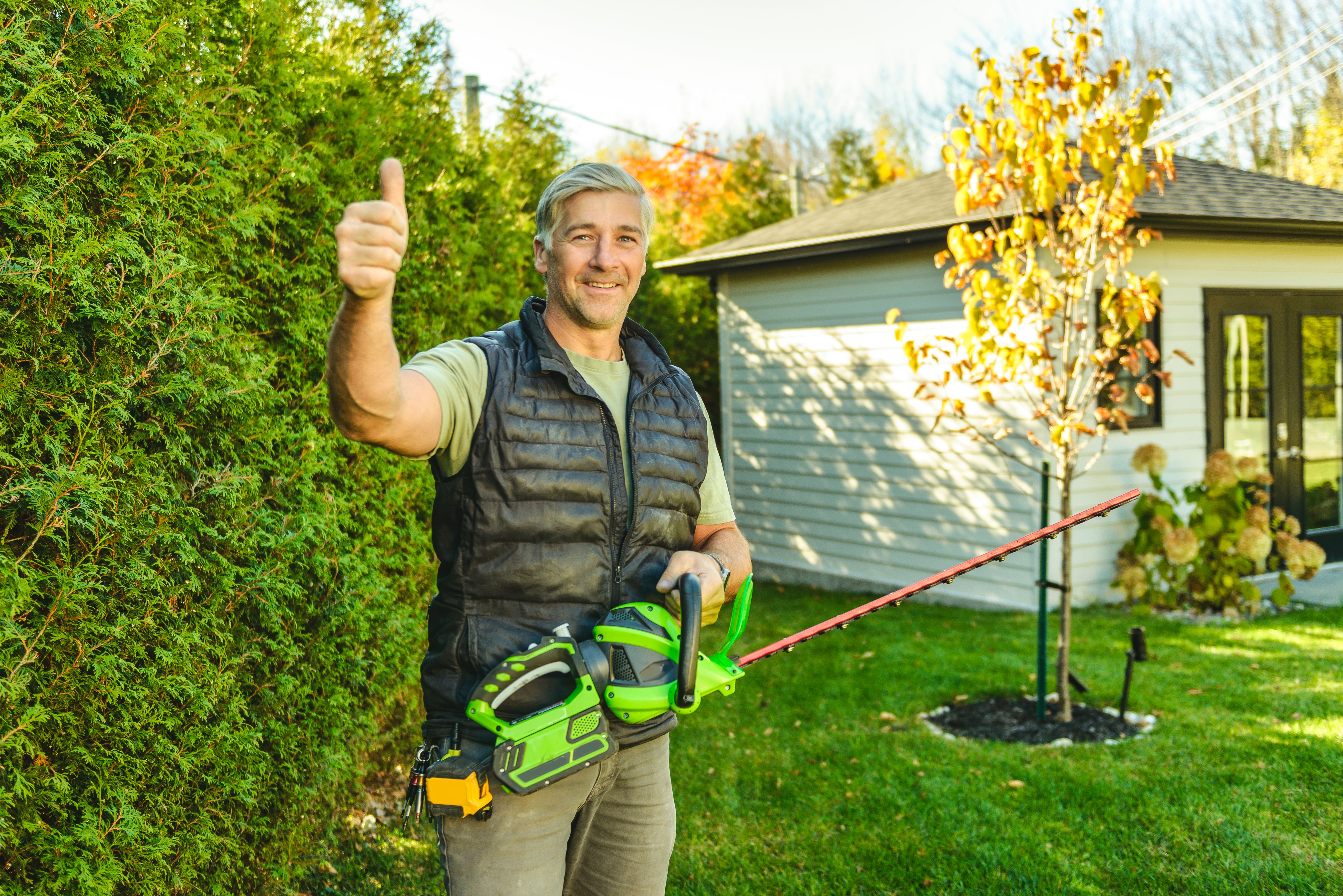 professional tree care