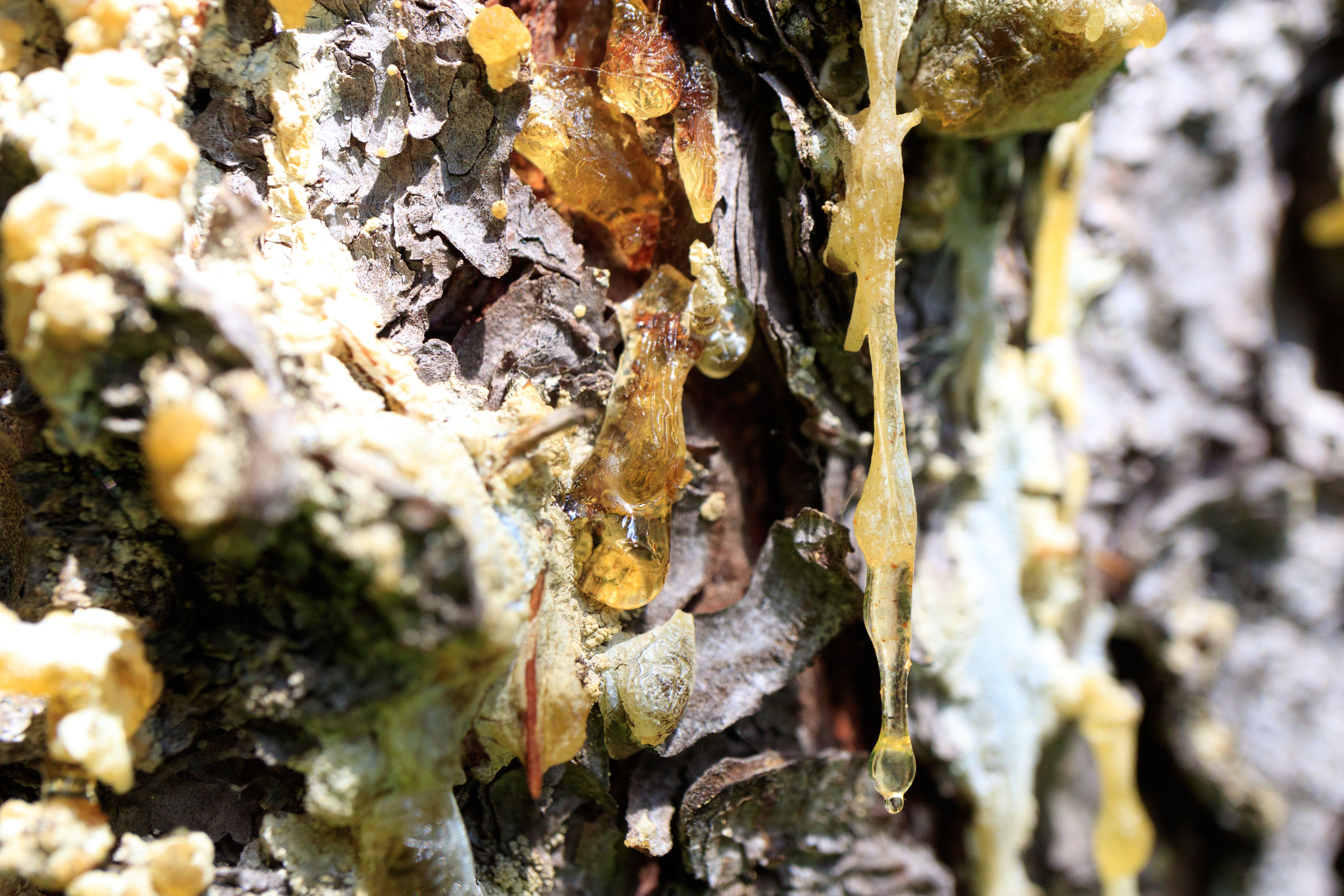 natural elements resin