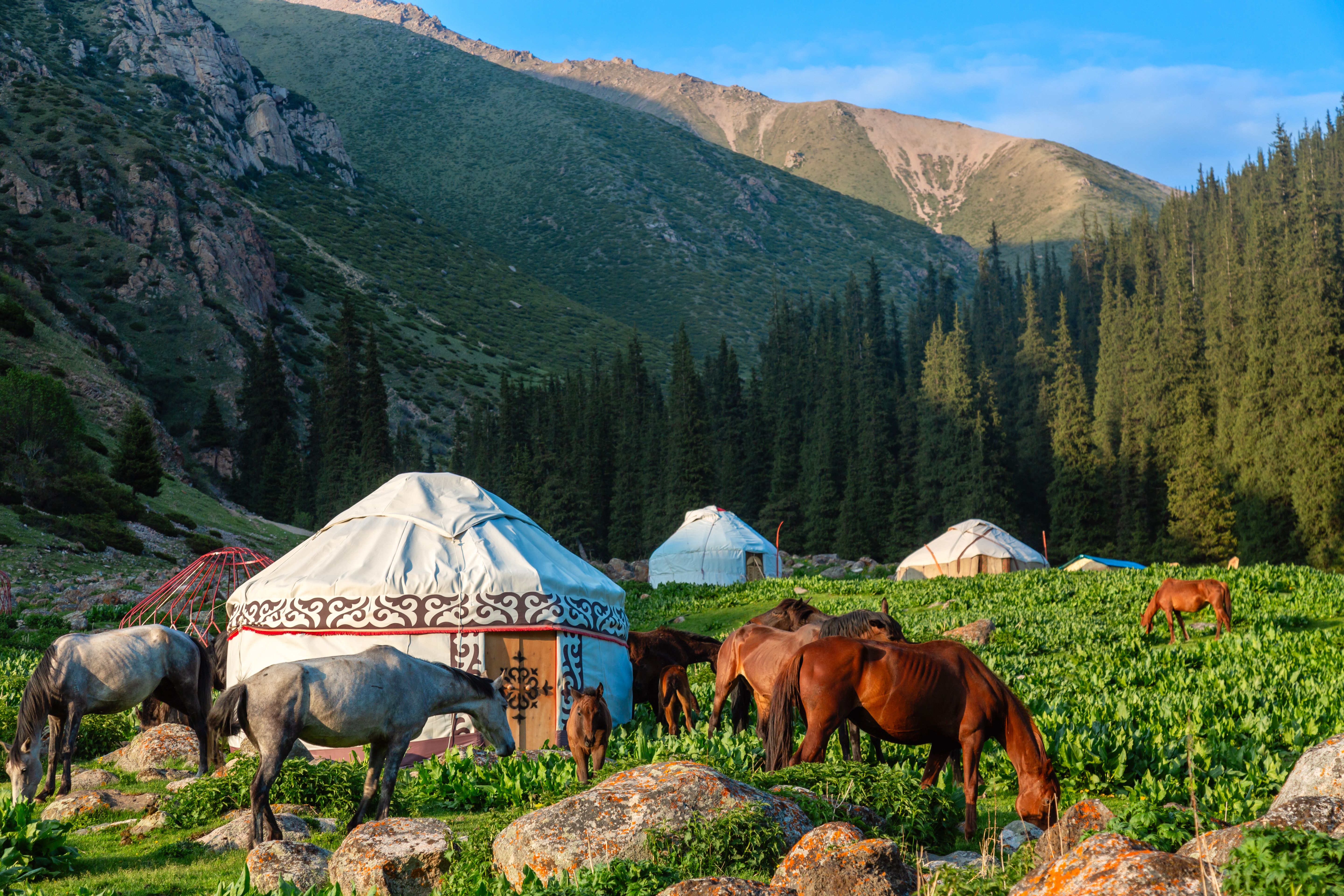 kyrgyzstan yurt