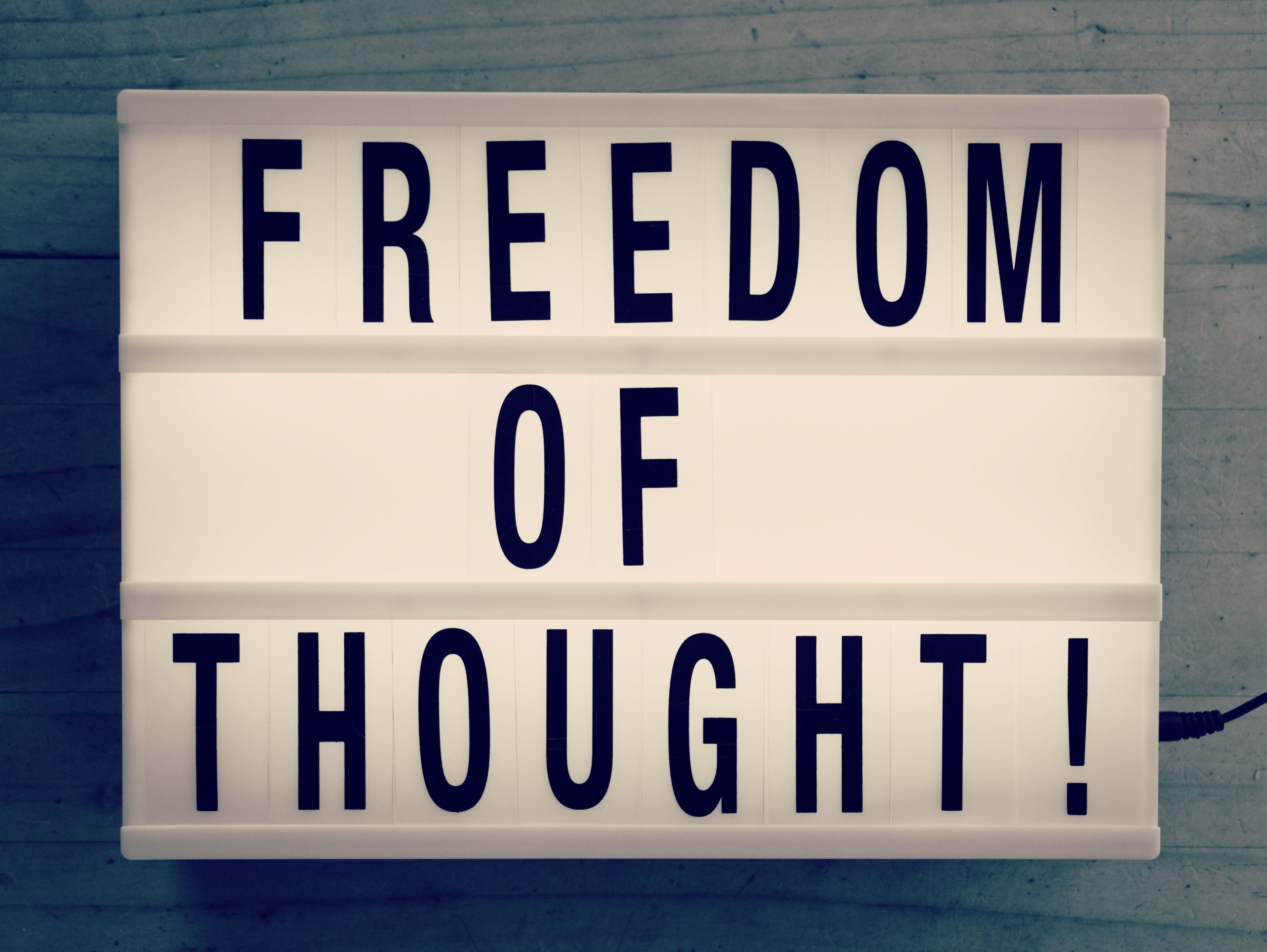 Freedom Of Thought in Modern Light Box Trend