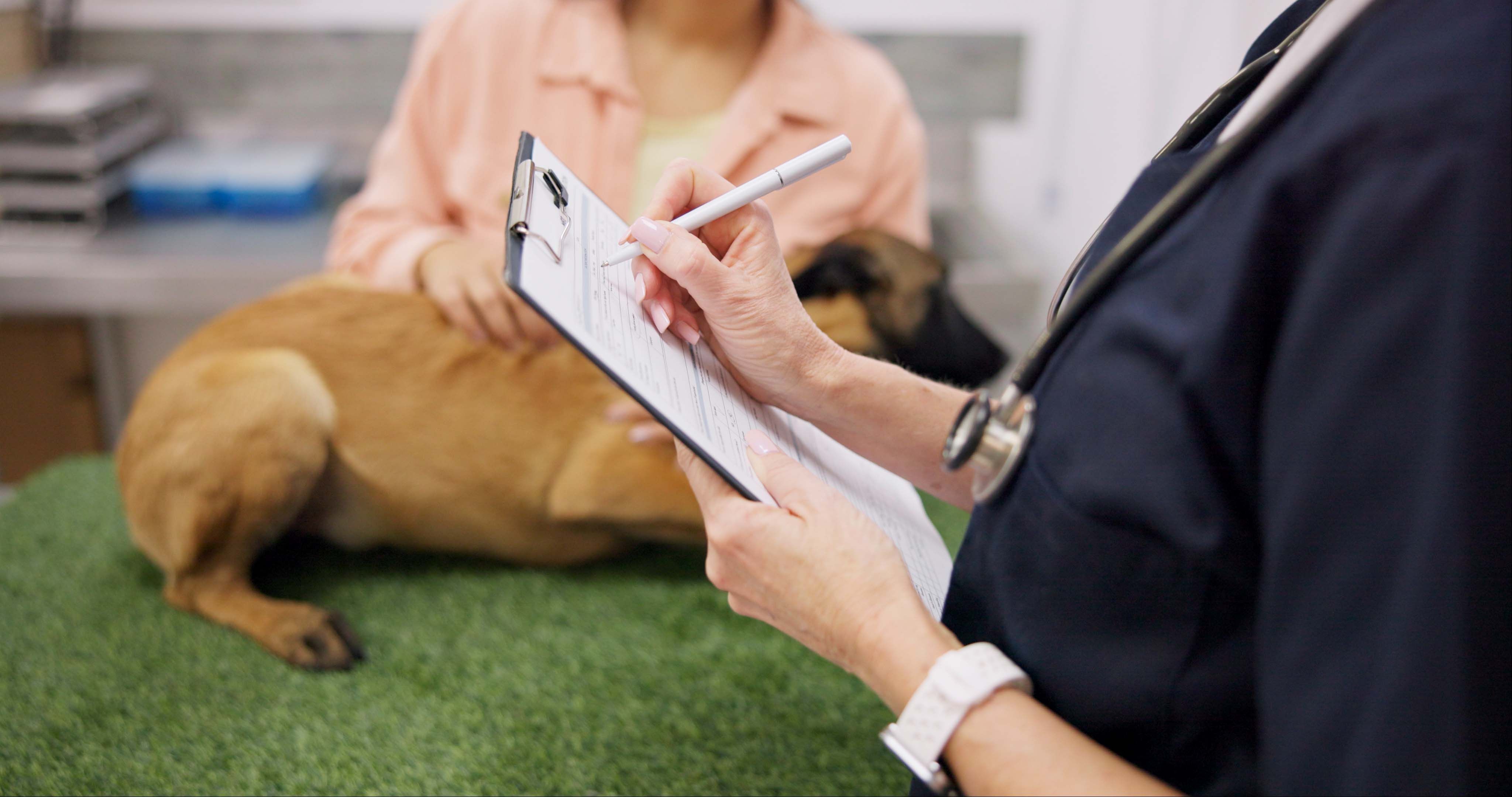animal shelter paperwork
