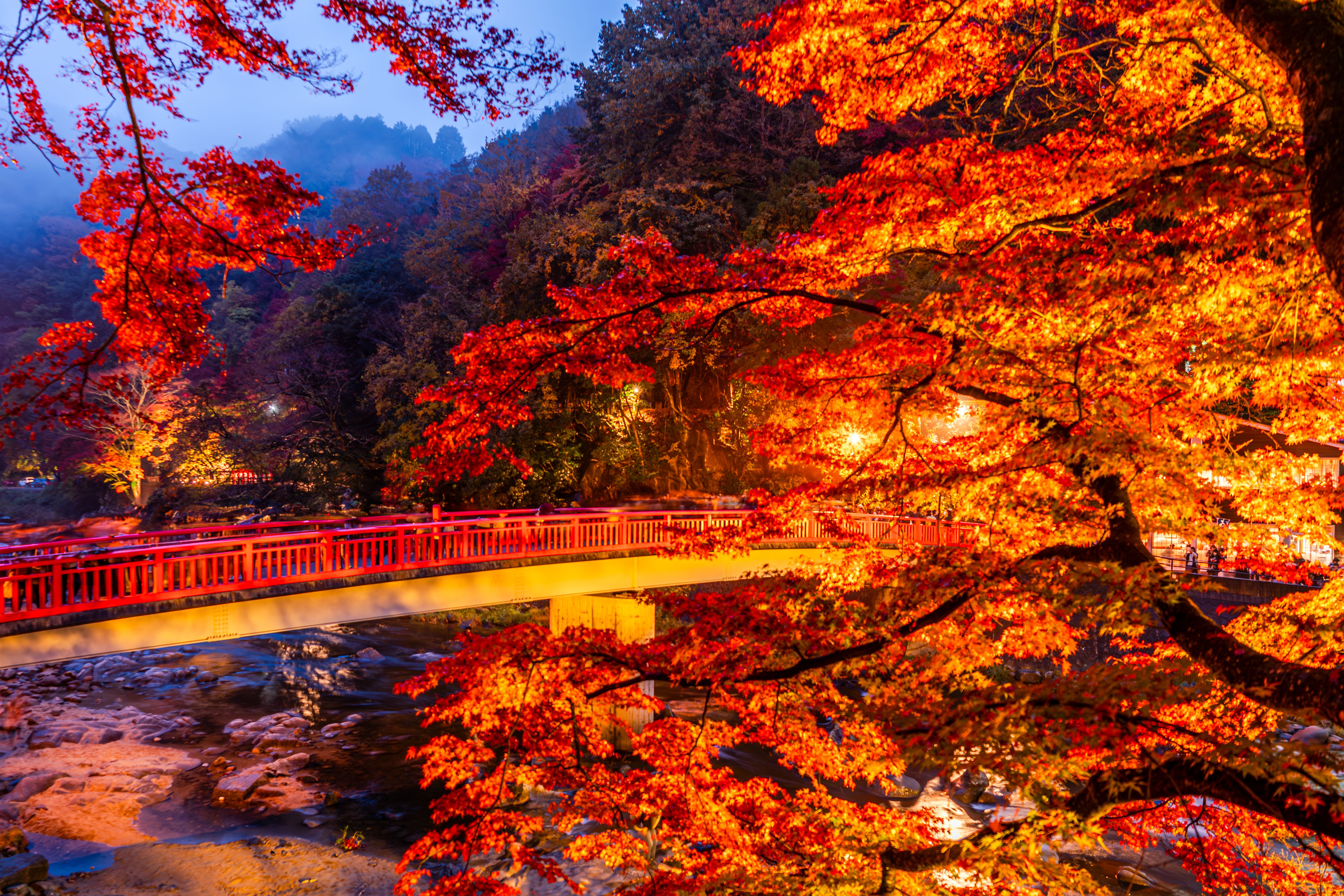 autumn leaves river