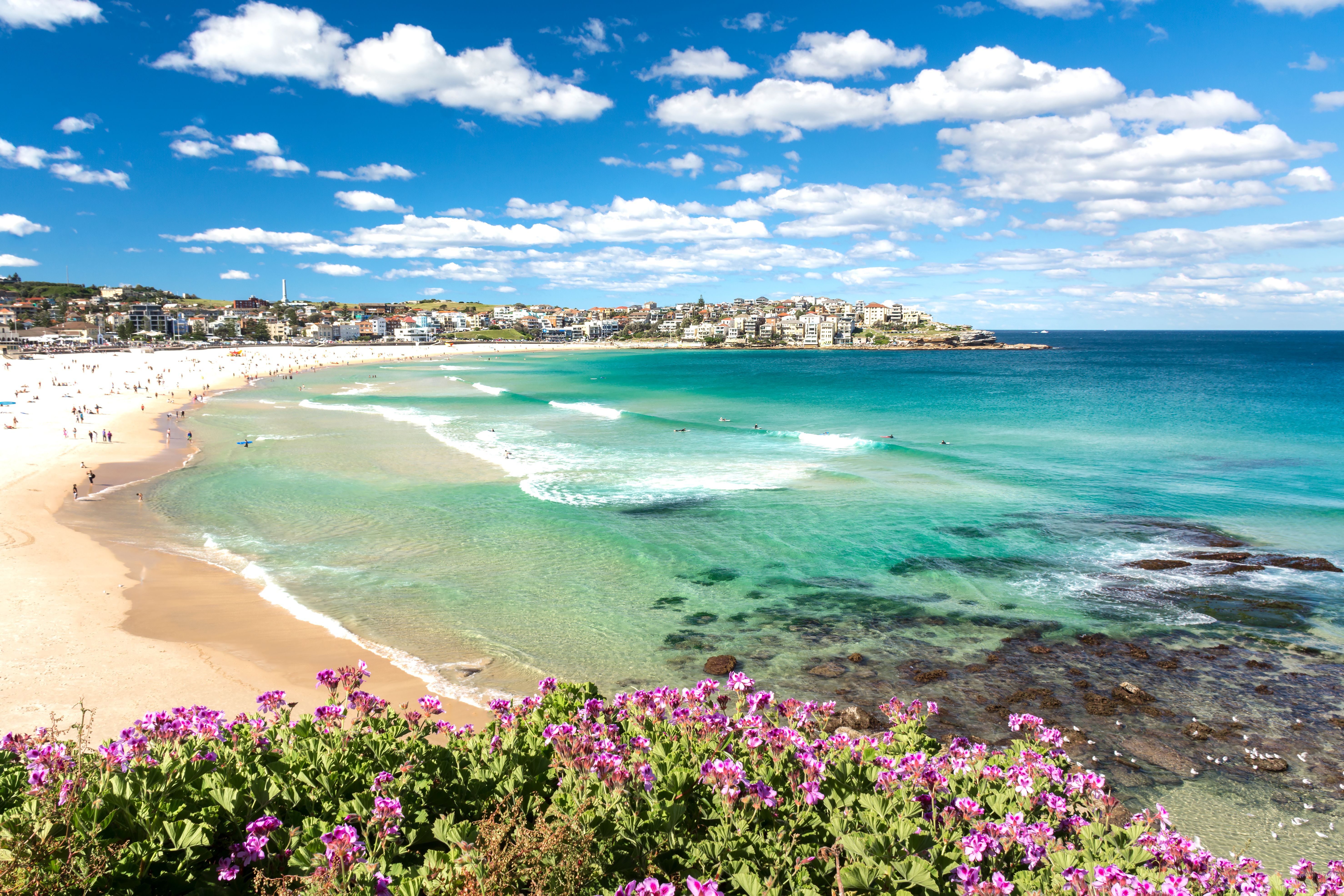 sydney beaches