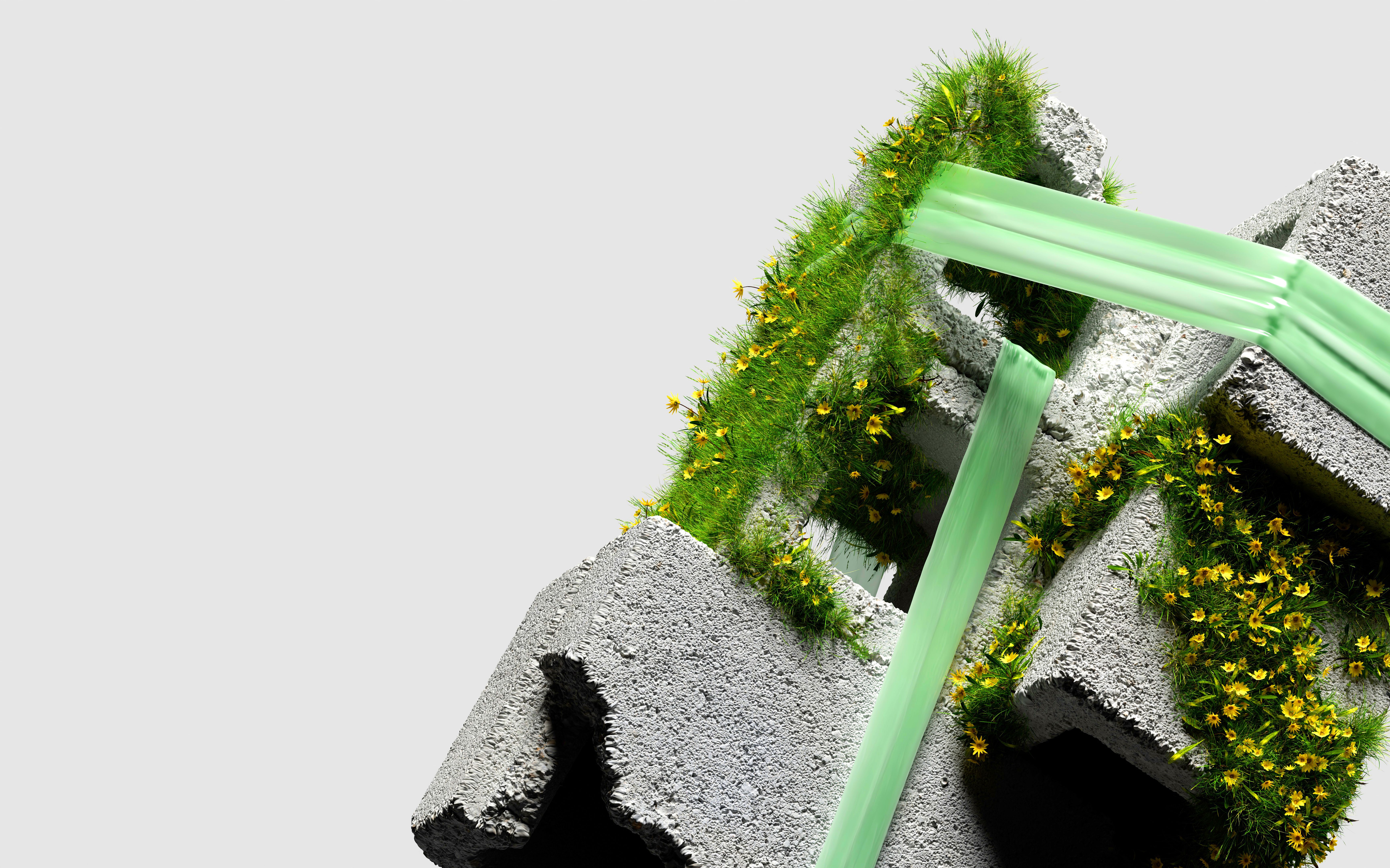 environmental regulation