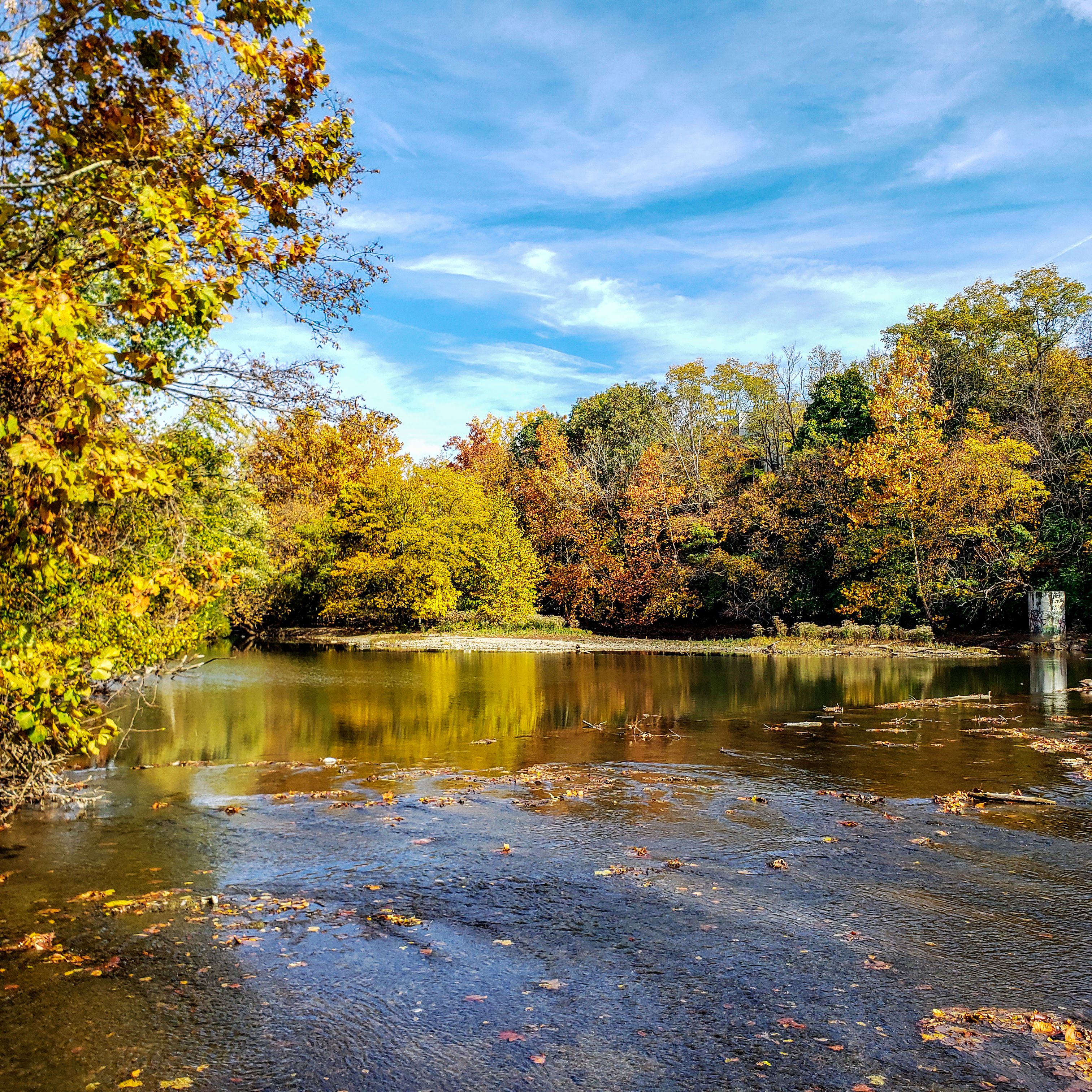 wetland monitoring