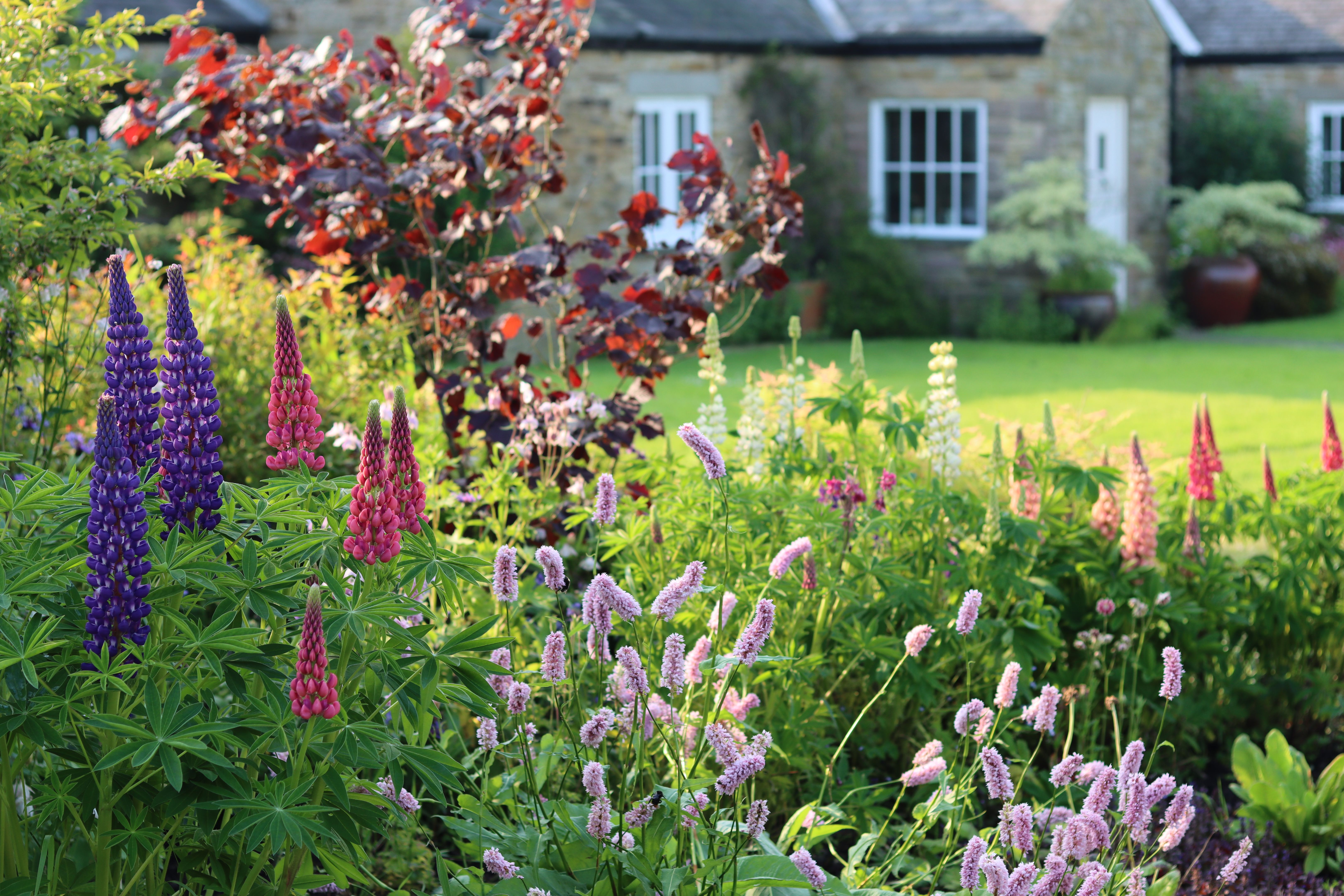 historic house garden