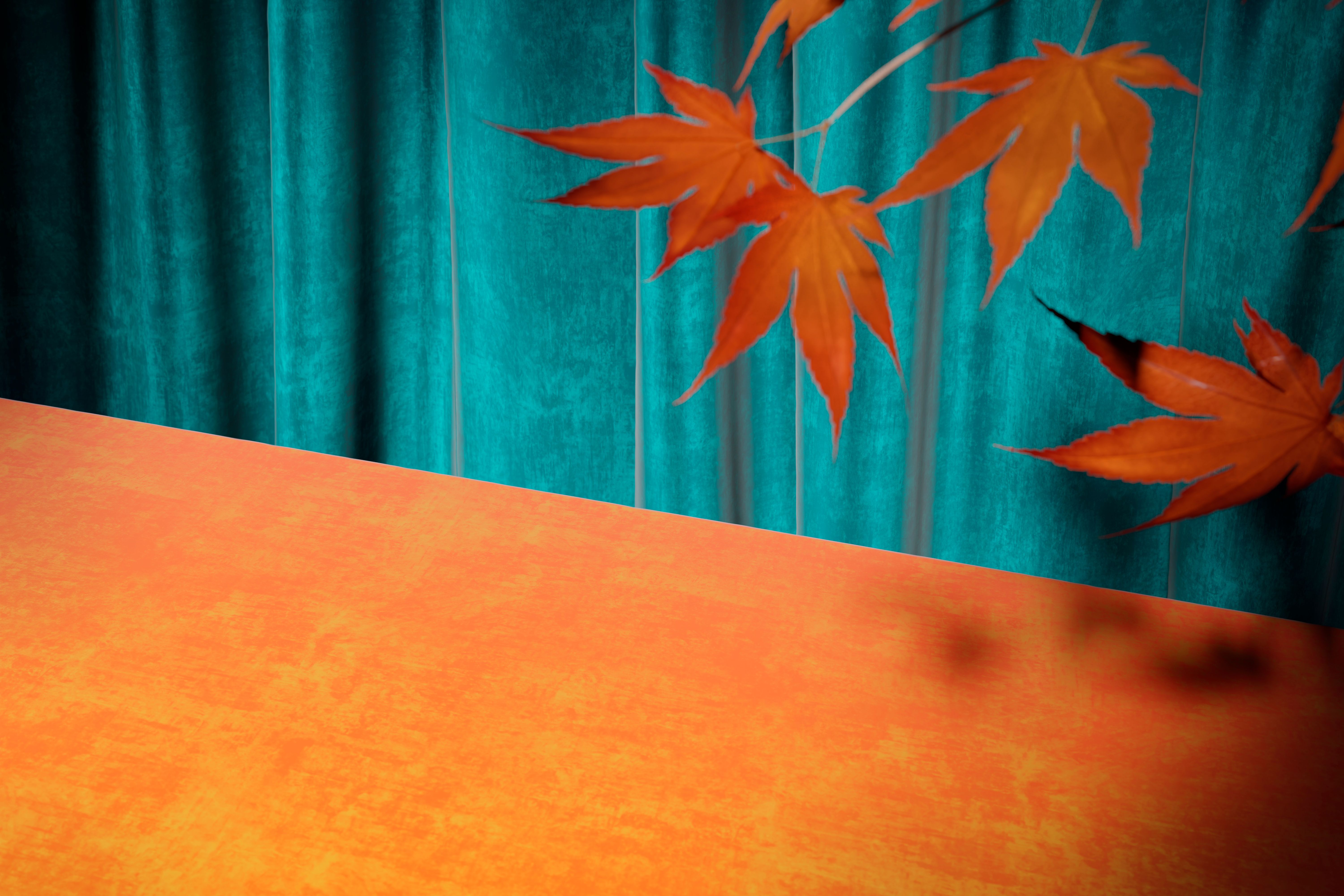 colorful modern interior