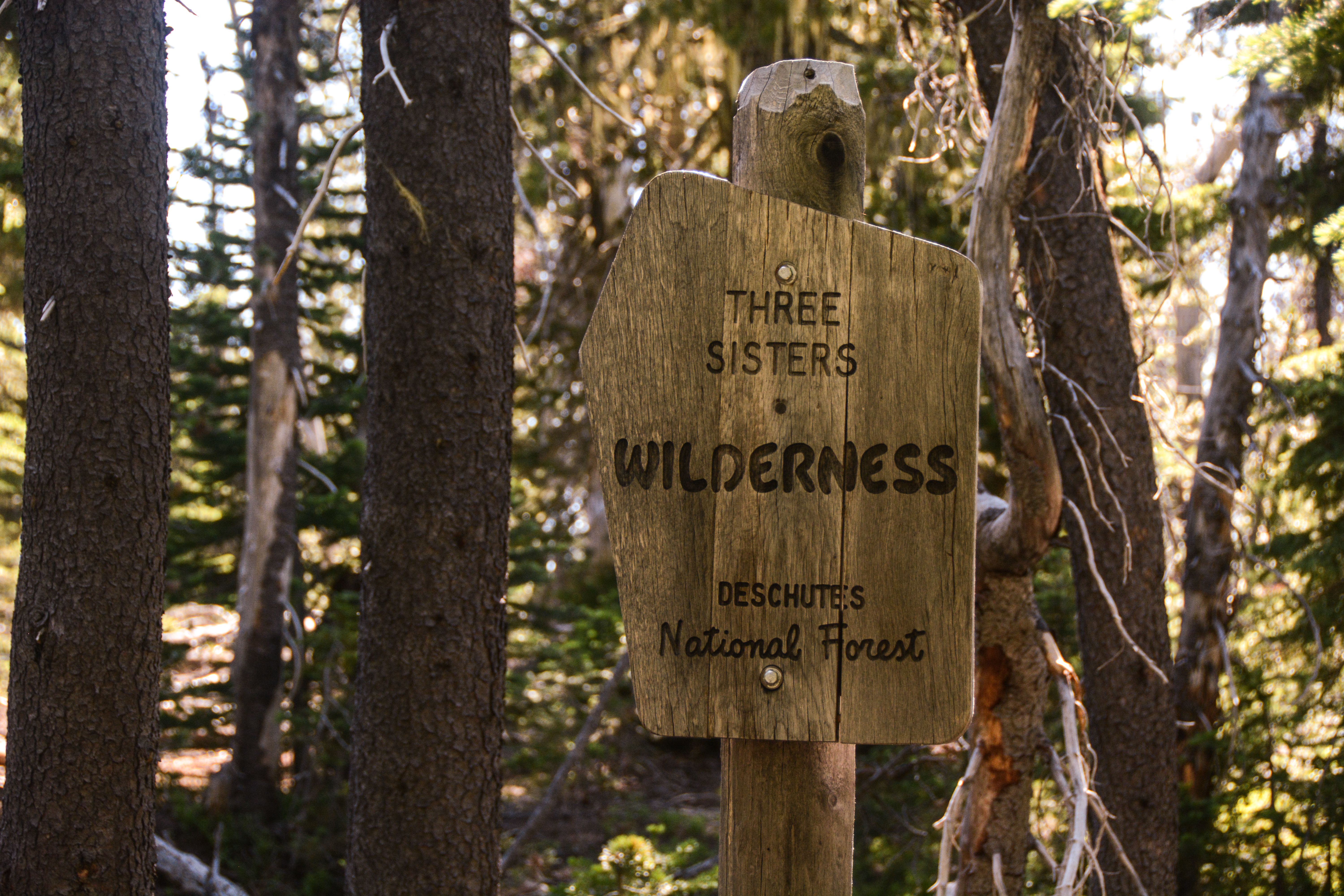 three sisters wilderness