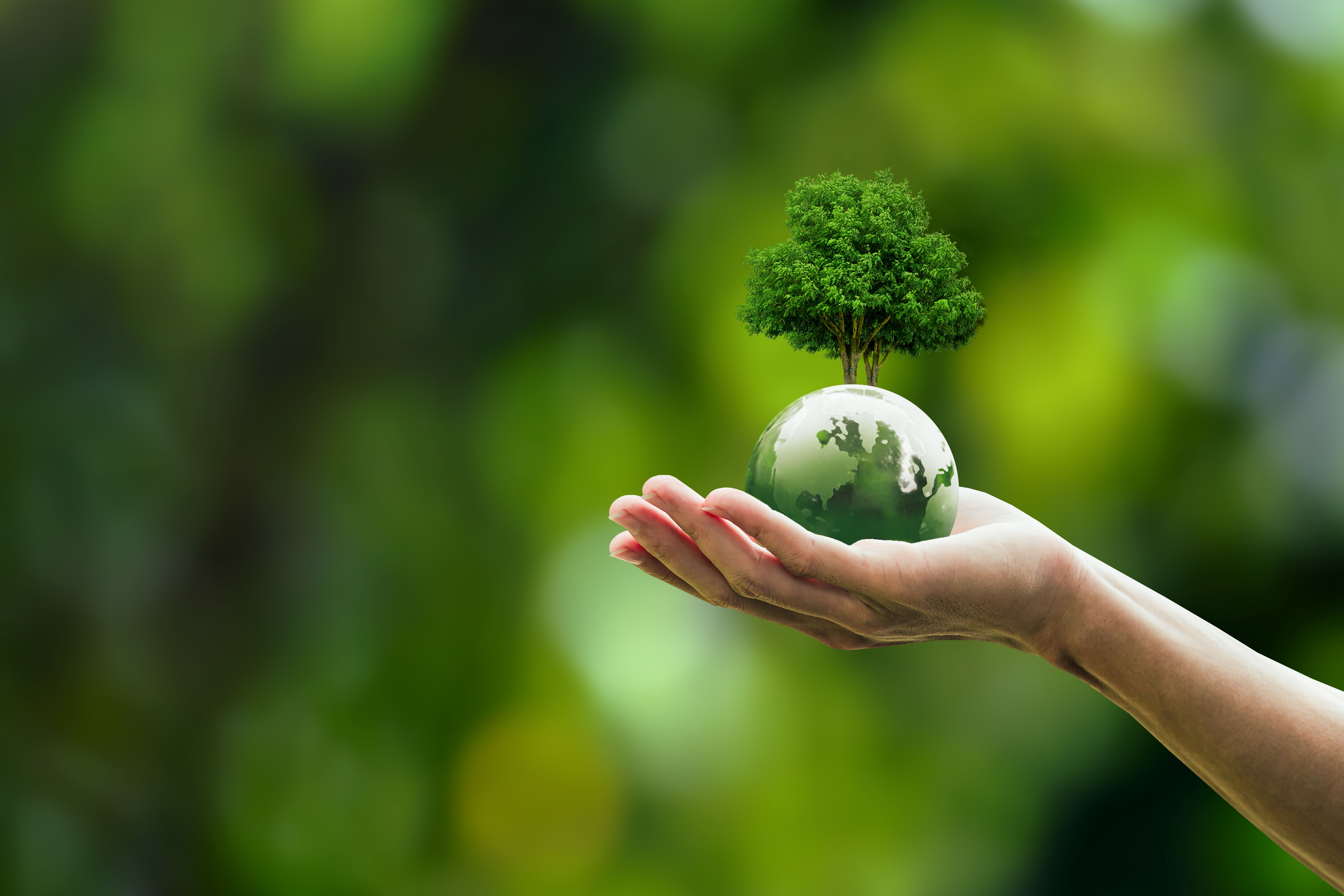 environment friendly