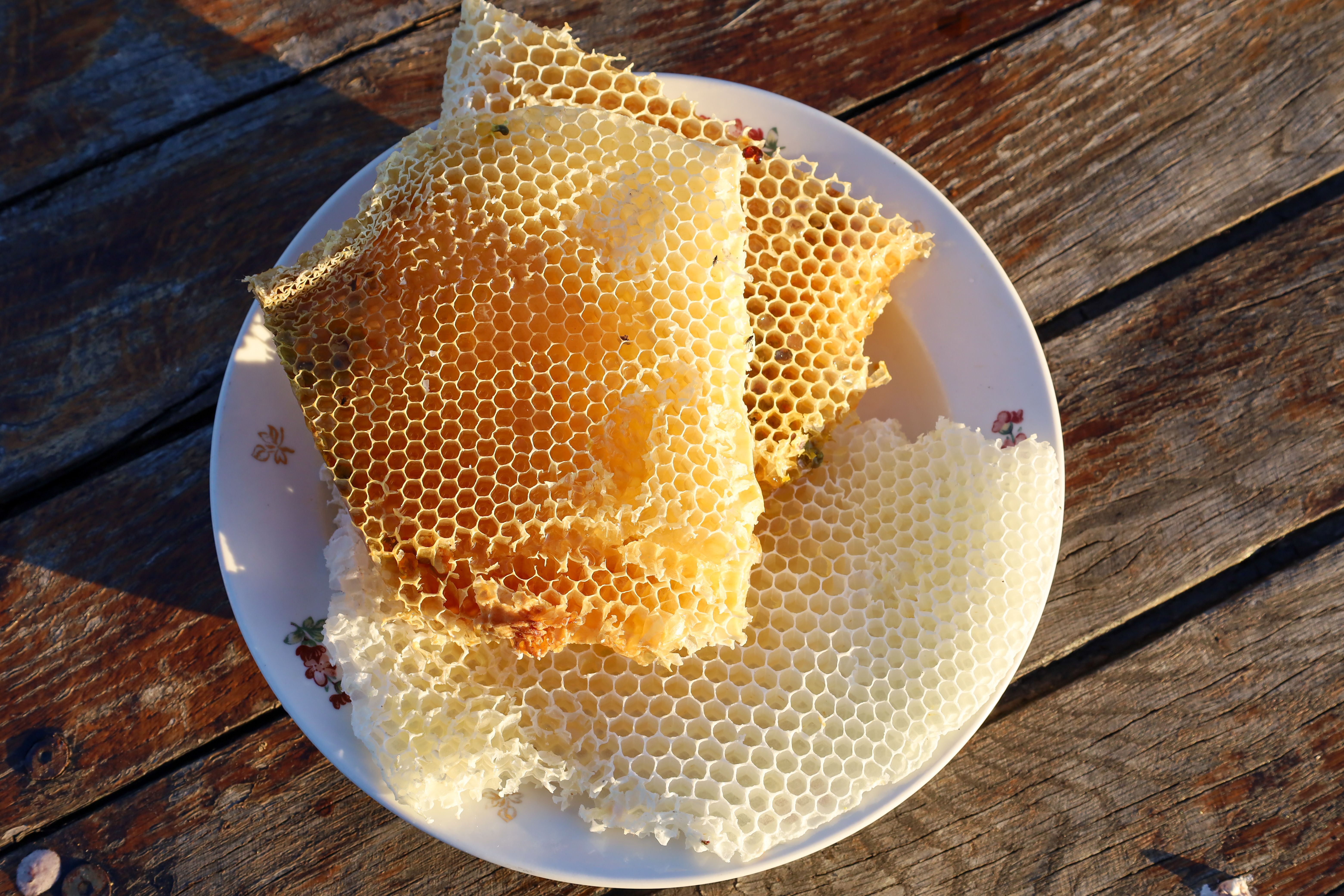 Honeycomb on a plate gleams with golden hues under the sun's rays, showcasing natural perfection and the sweet gifts of nature. Each hexagonal cell is filled with nectar, creating an appetizing sight.