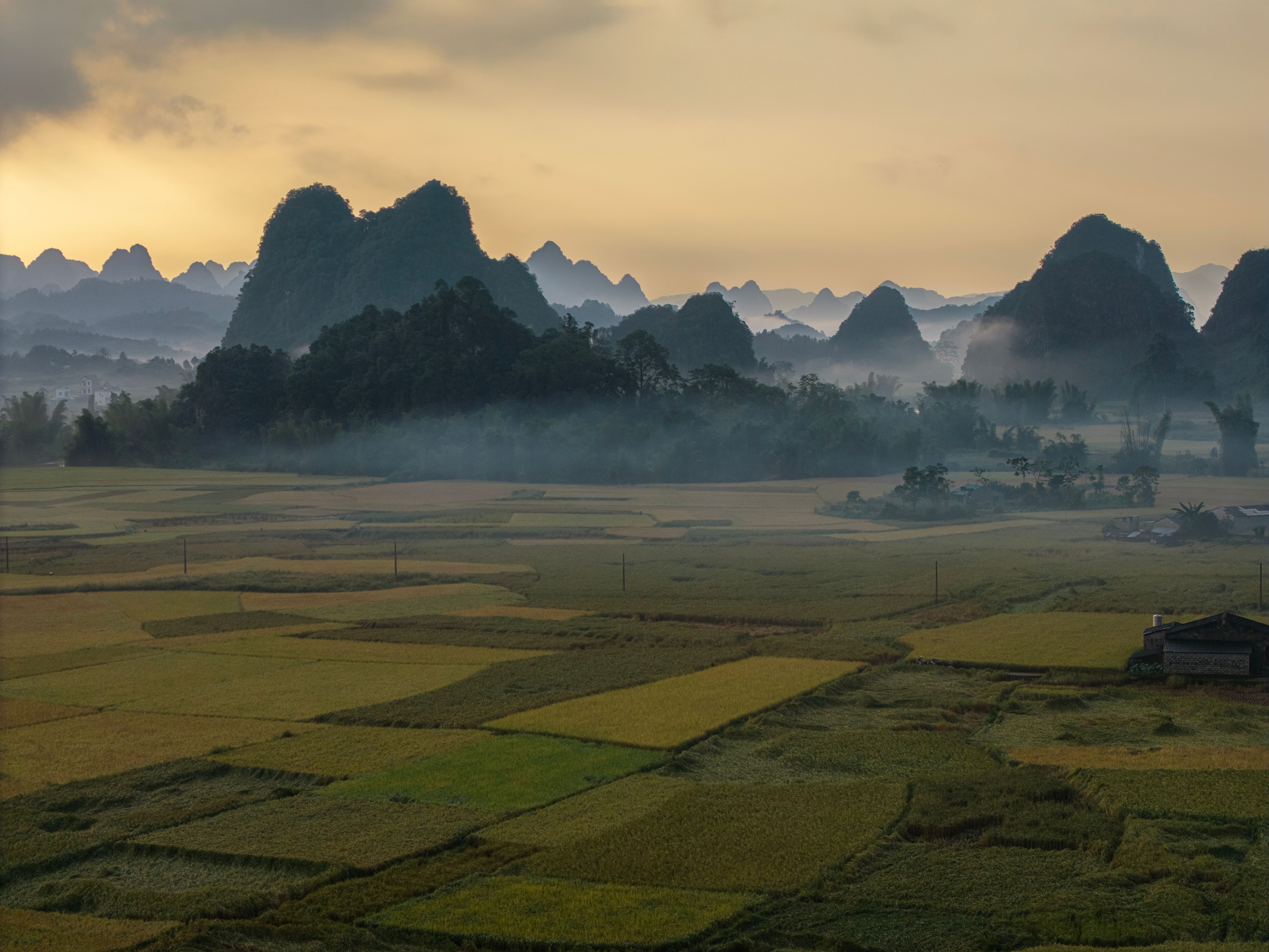 rainy season farming