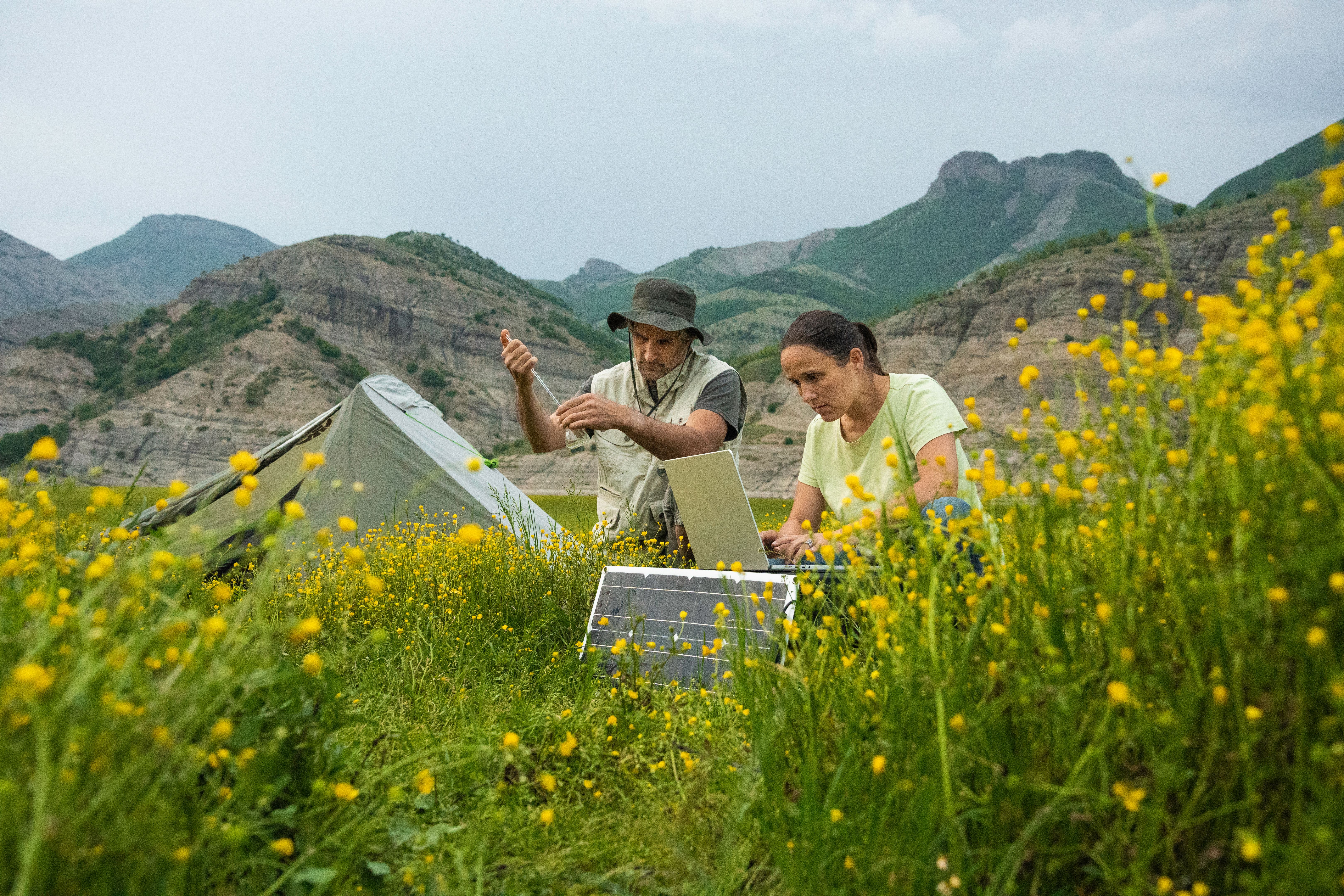 fieldwork technology