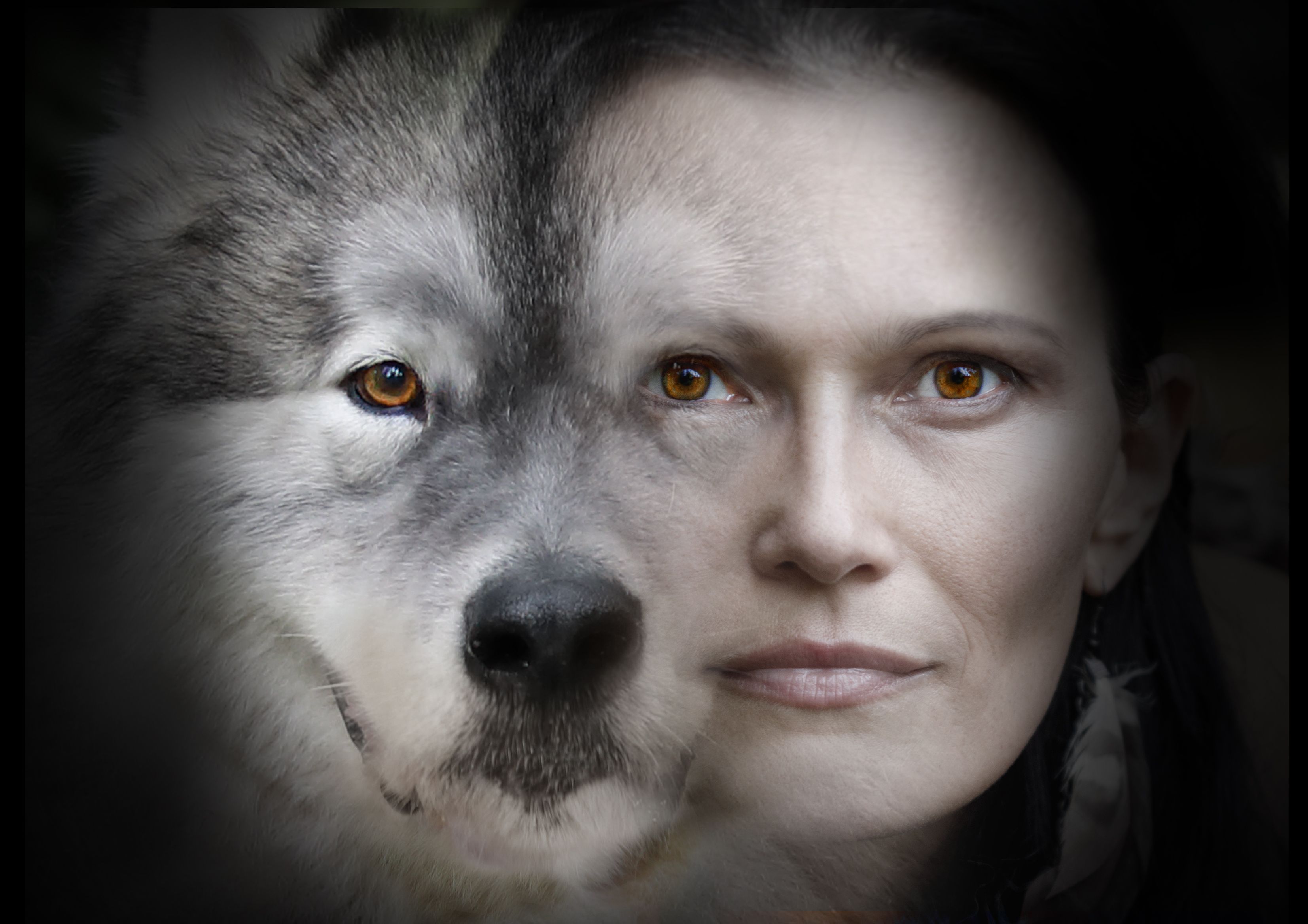 Photo collage of portraits of a beautiful woman and an Alaskan Malamute dog on a black background Photo collage of portraits of a beautiful woman and an Alaskan Malamute dog on a black background
