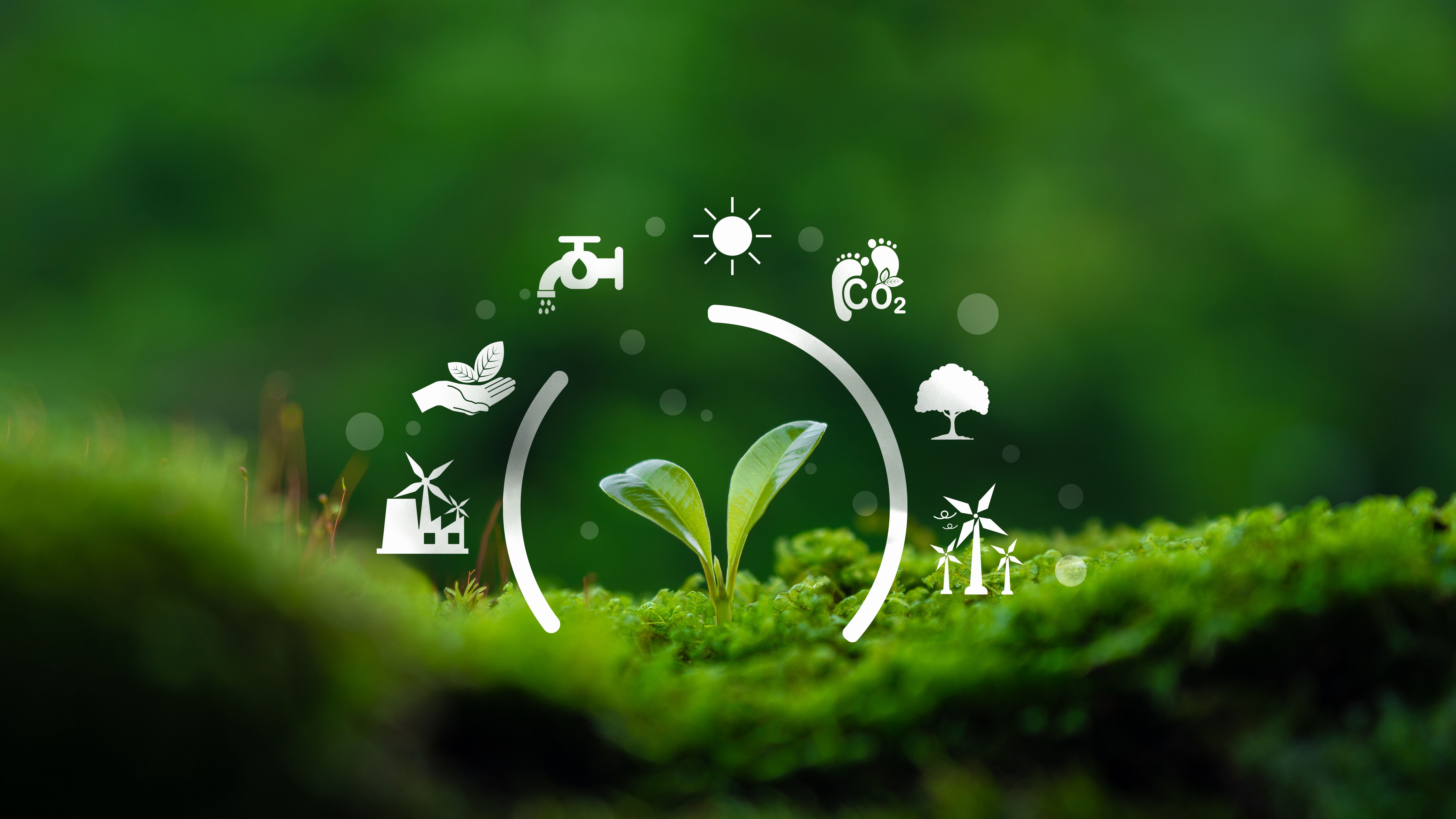 climate action