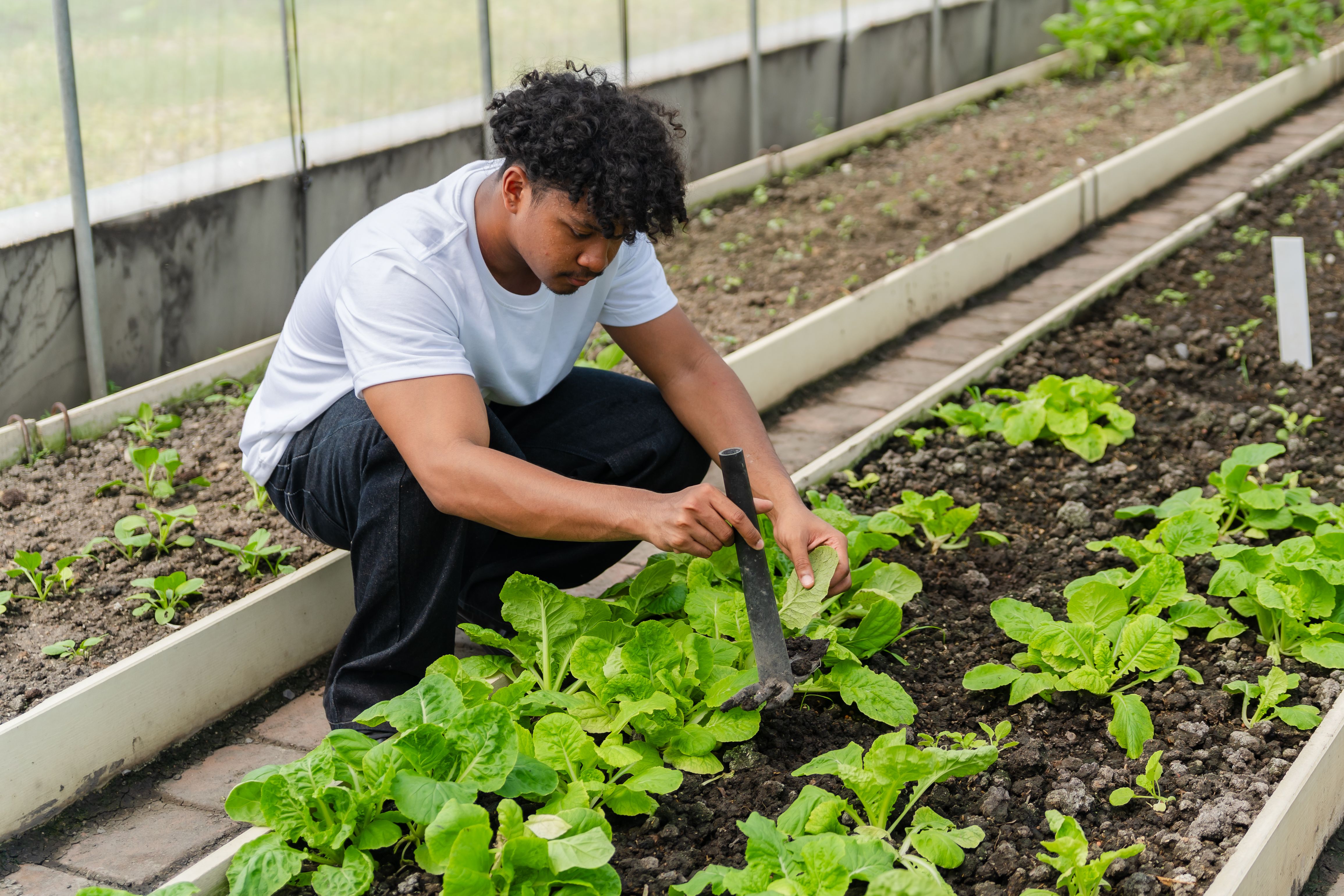 experienced landscapers
