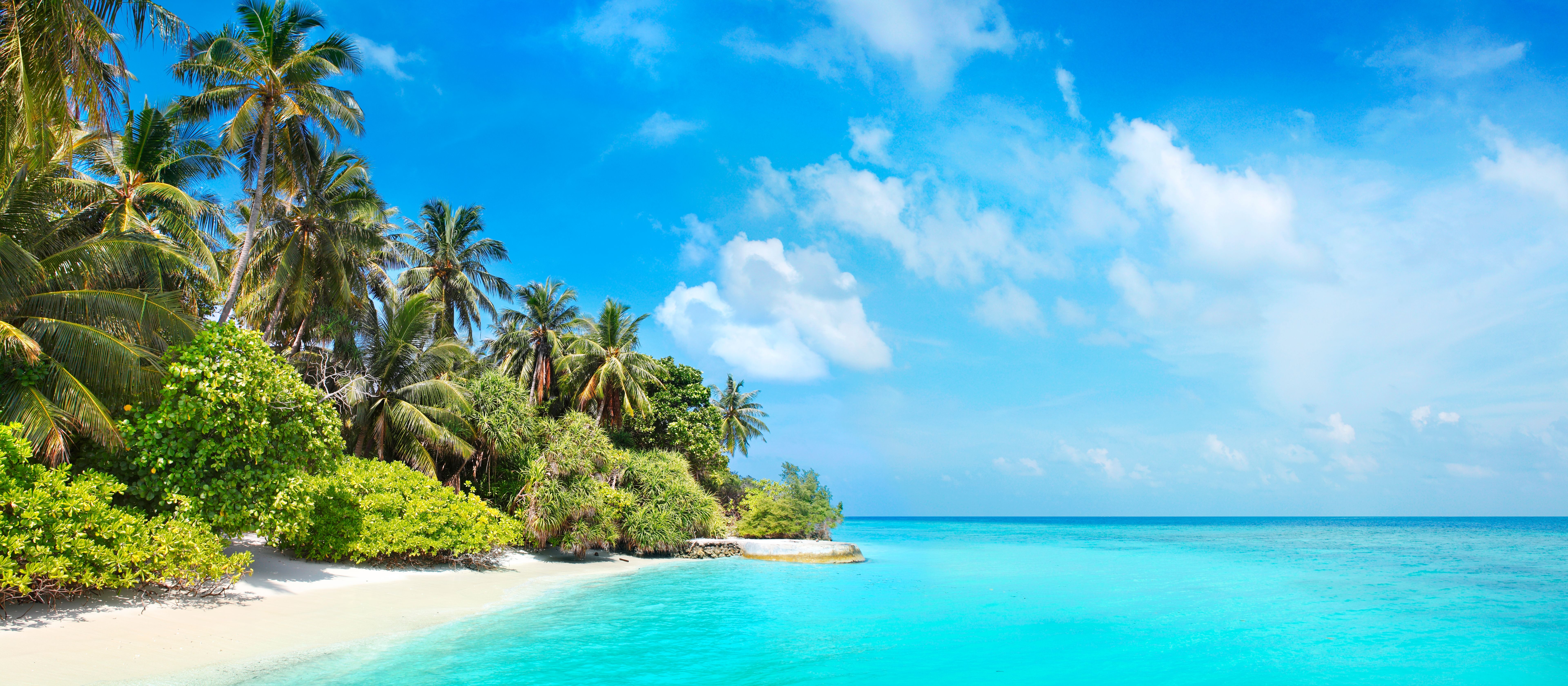 Coconut palms and sunny beach at Bandos island in Maldives Coconut palms and sunny beach at Bandos island in Maldives