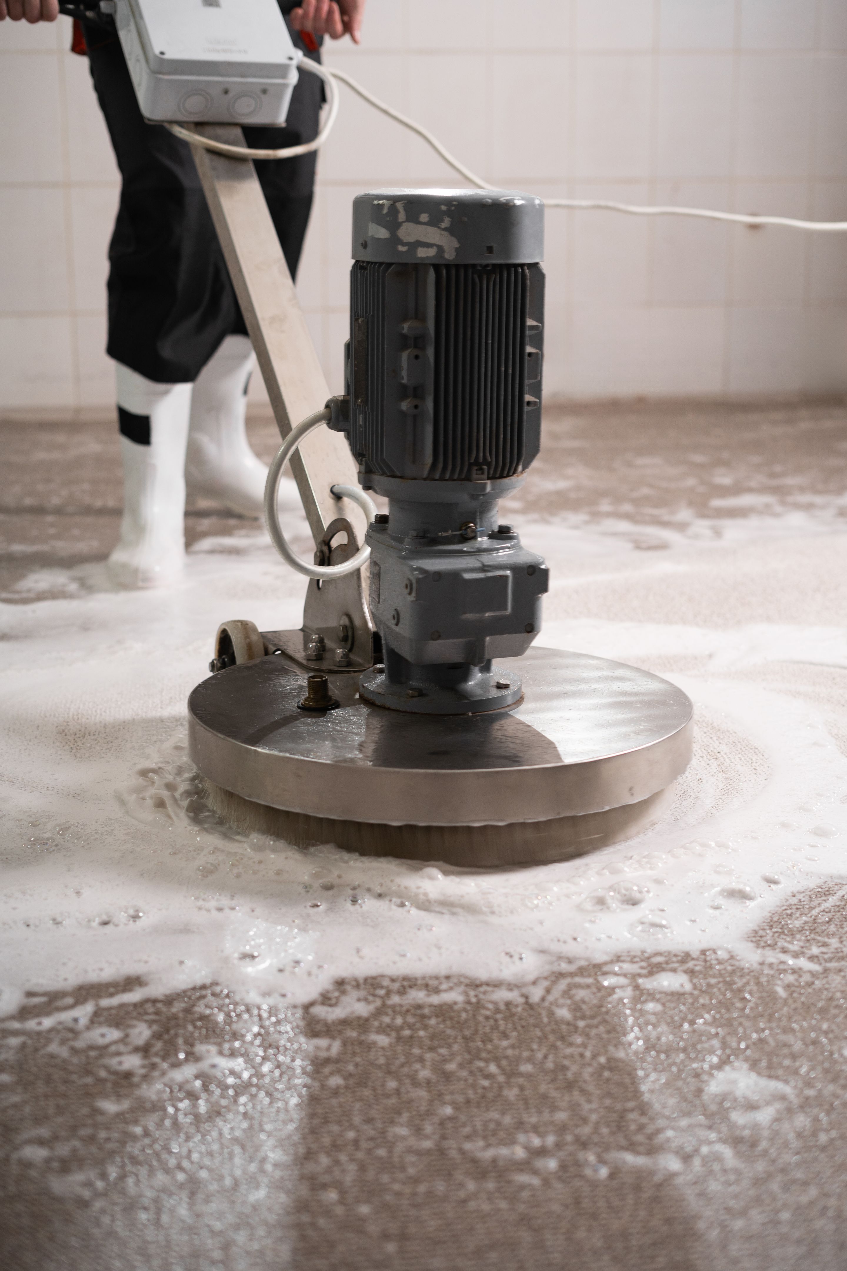 Carpet chemical cleaning with professionally disk machine in laundry or dry cleaning.